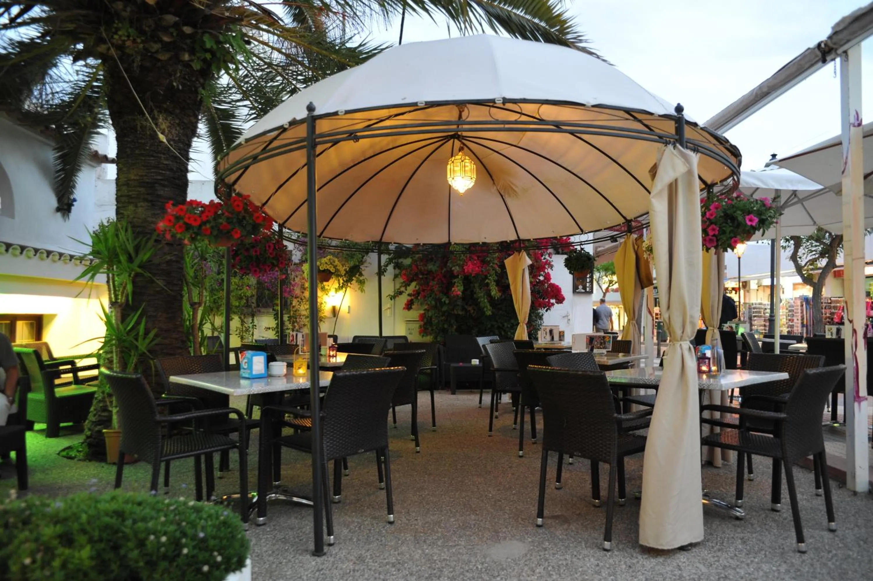 Lounge or bar in Hotel Antares