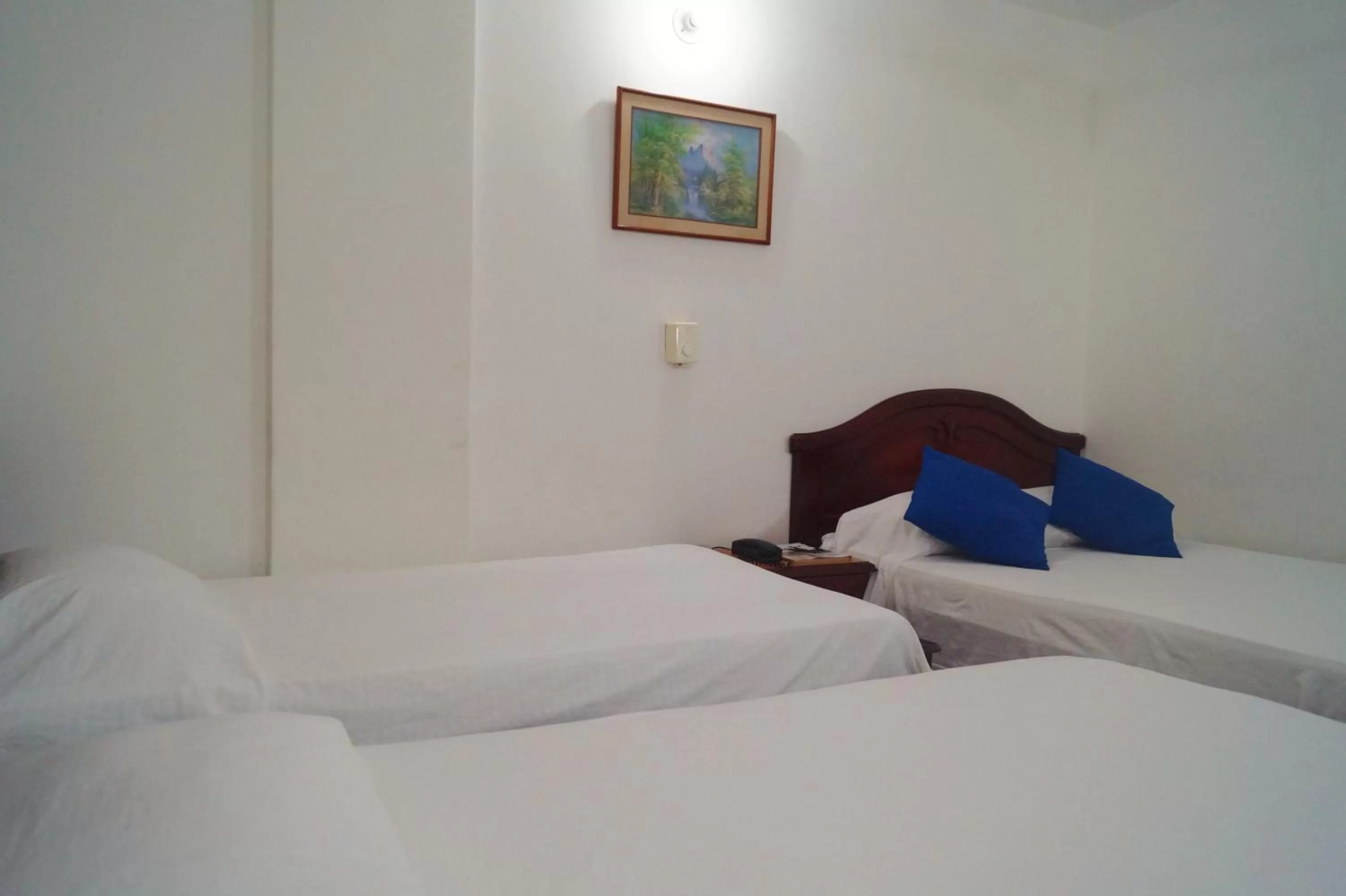 Decorative detail, Room Photo in Hotel Comercial