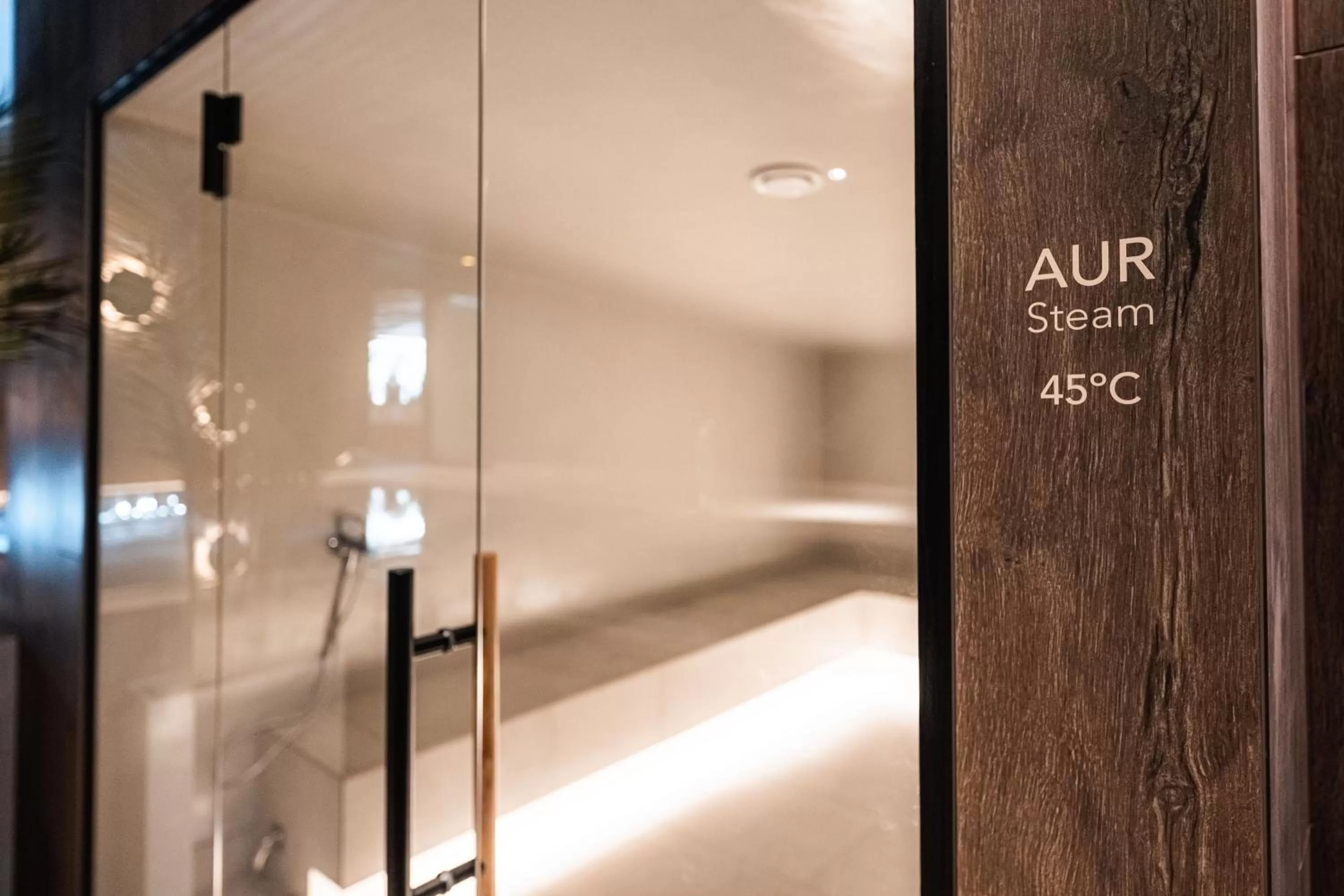 Sauna in Meri Seaside Hotel & SPA