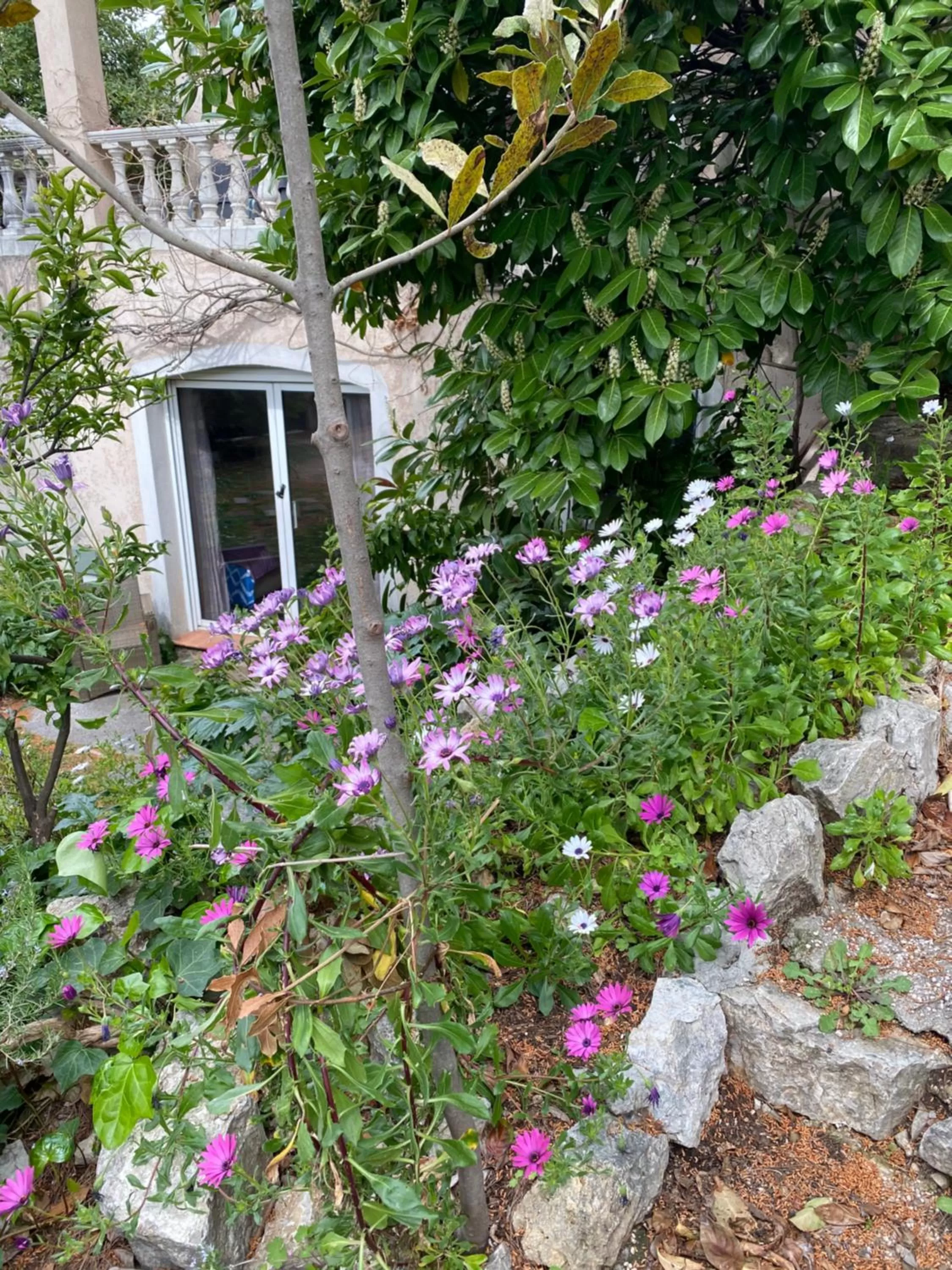 Garden in Chambre spacieuse indépendante dans villa plus parking privée