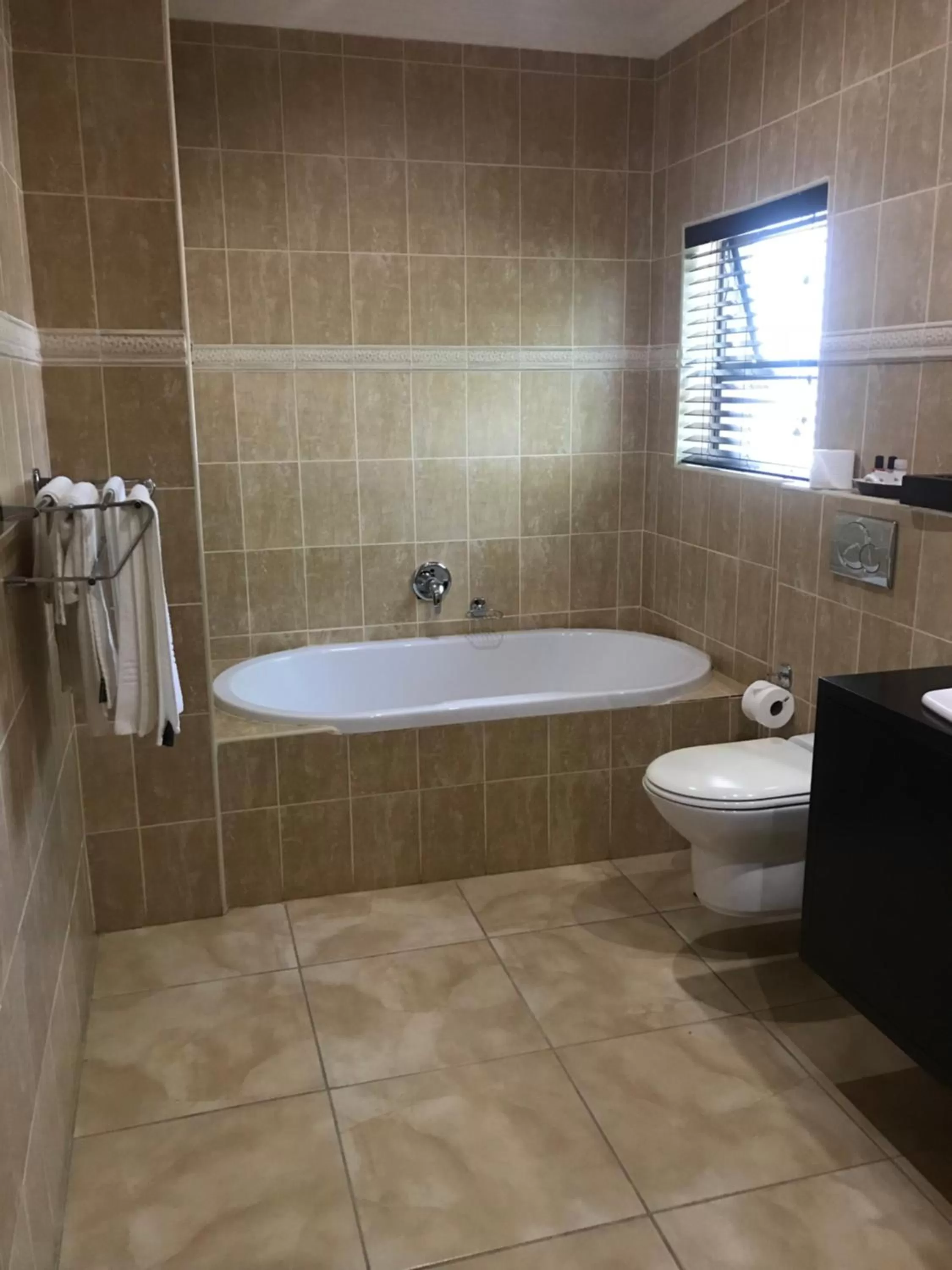 Toilet in Ebandla Hotel & Conference Centre