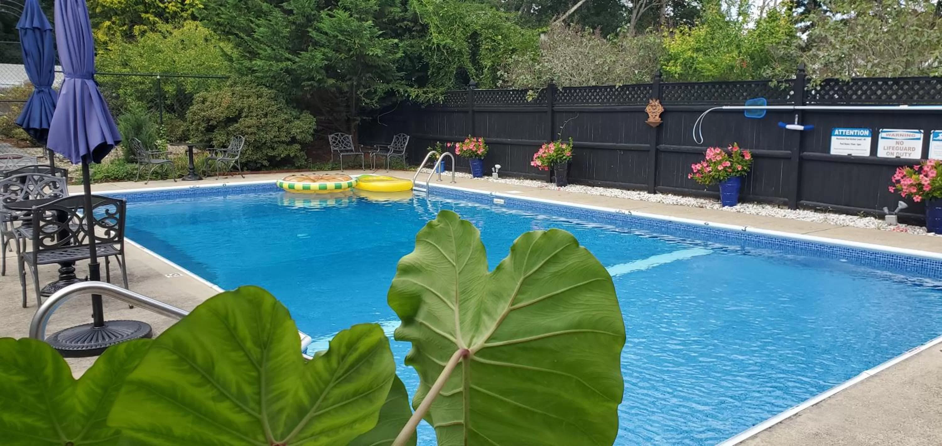 Swimming pool in The Platinum Pebble Boutique Inn - Adults Only Property