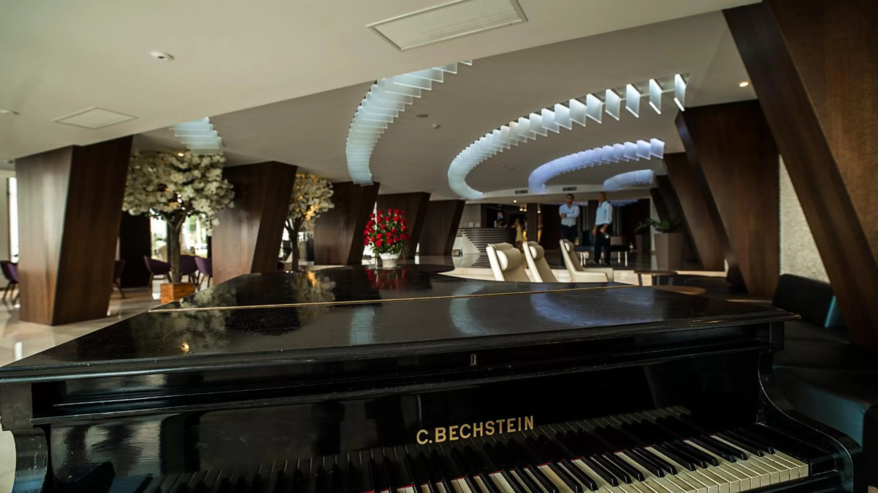 Lounge or bar in New Belvedere