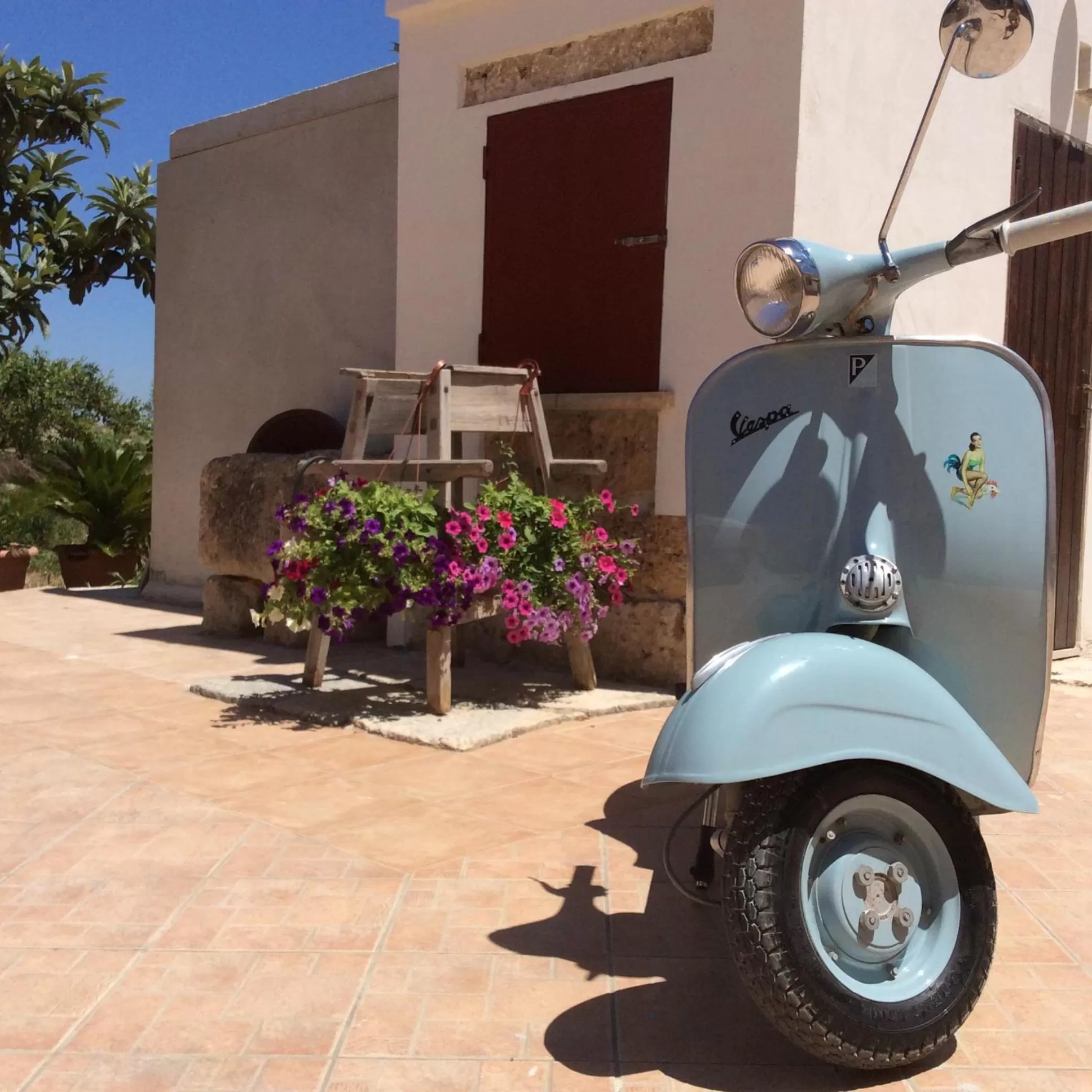 Logo/Certificate/Sign in SiciliAntica