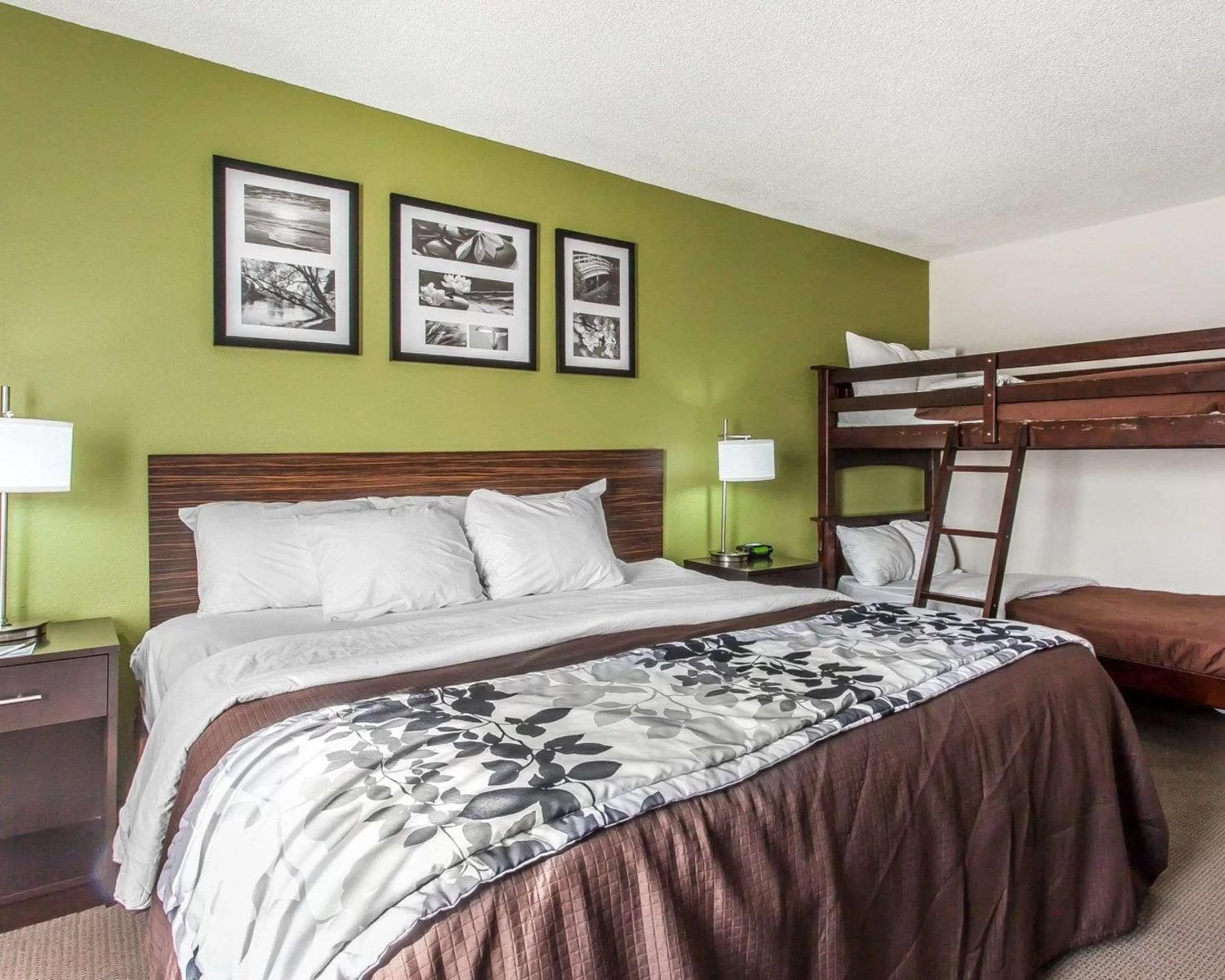 Photo of the whole room, Bed in Sleep Inn & Suites Near I-90 and Ashtabula