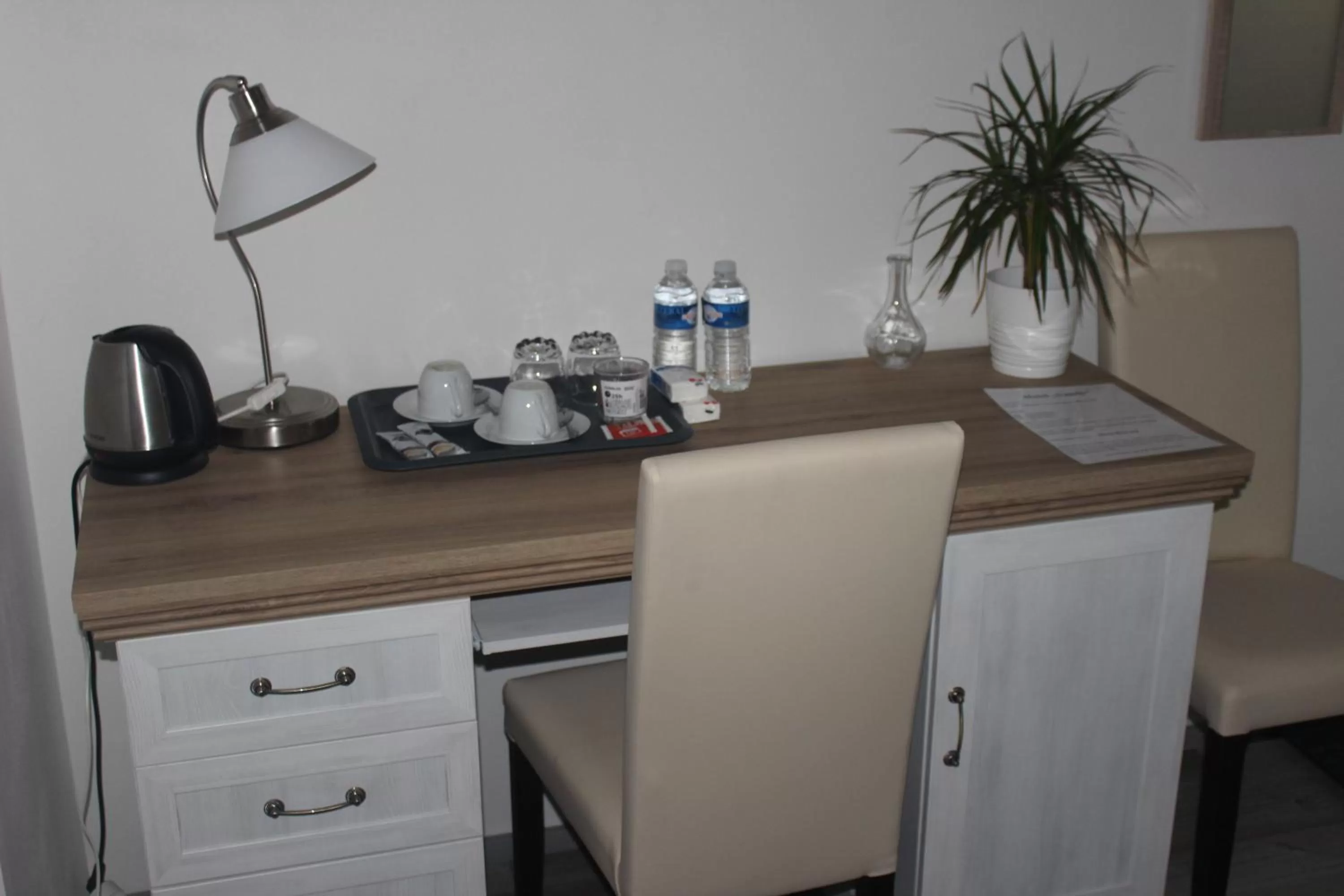 Coffee/tea facilities, Kitchen/Kitchenette in Penzion Vesely