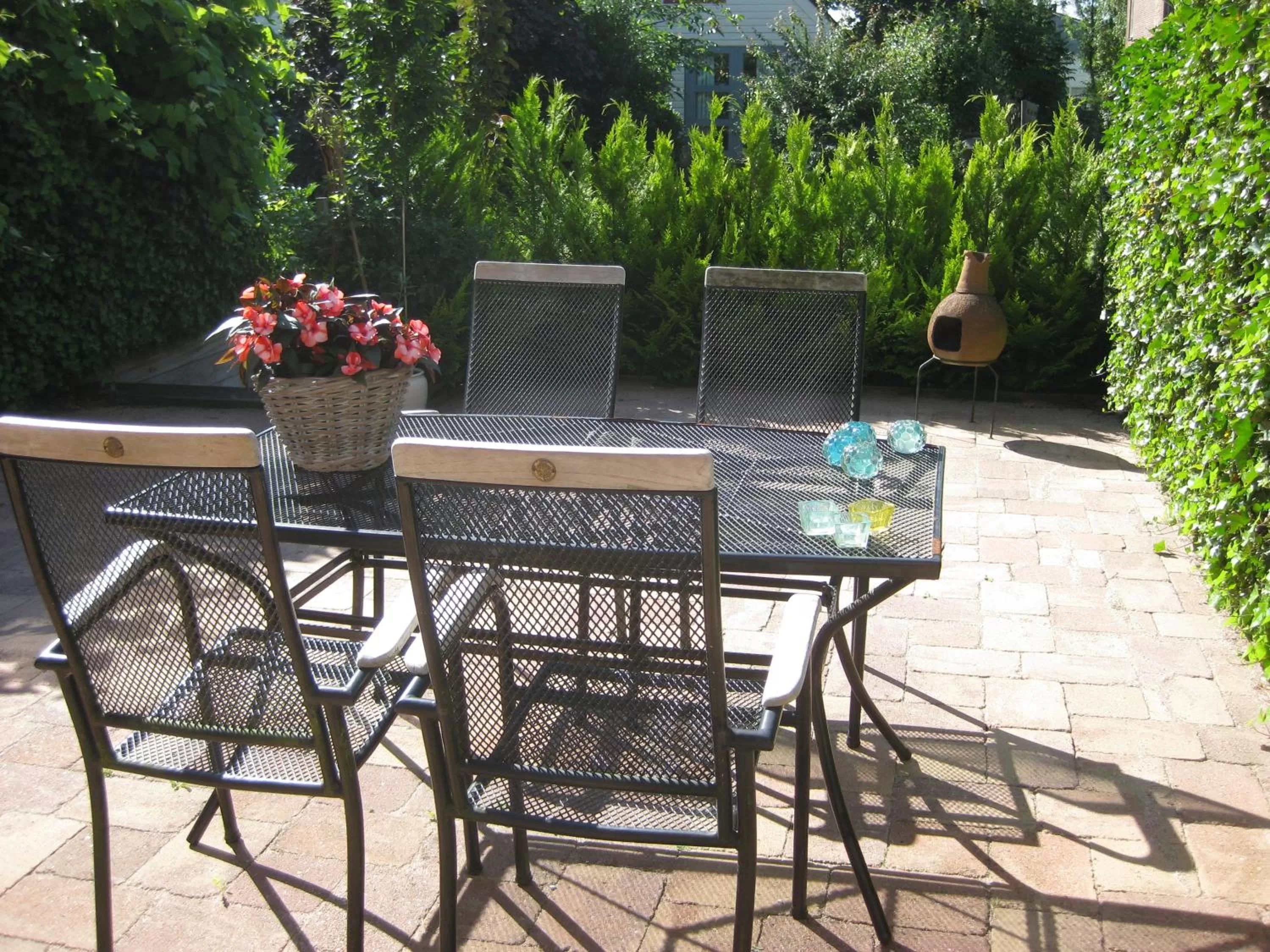 Garden in Quarenta Studio