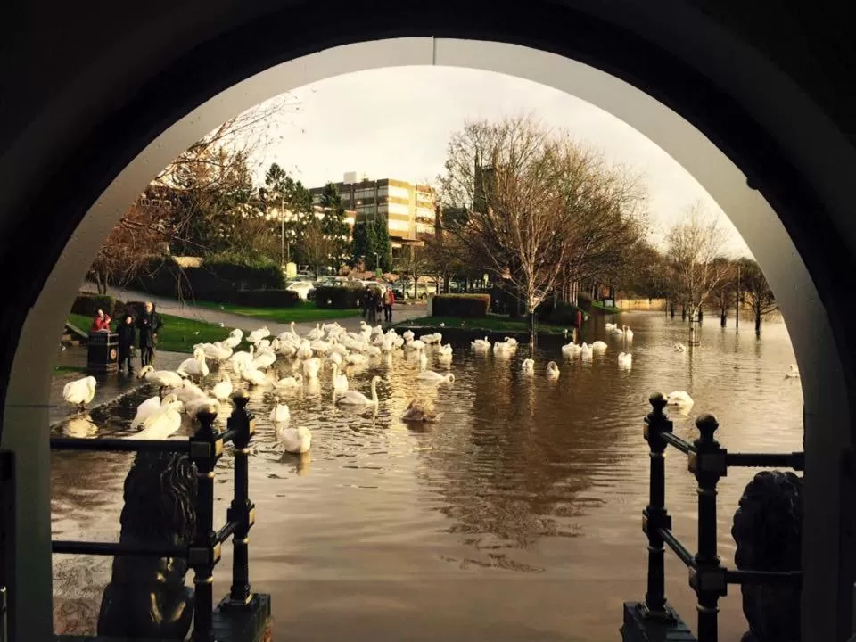Natural landscape in Boutique By Browns