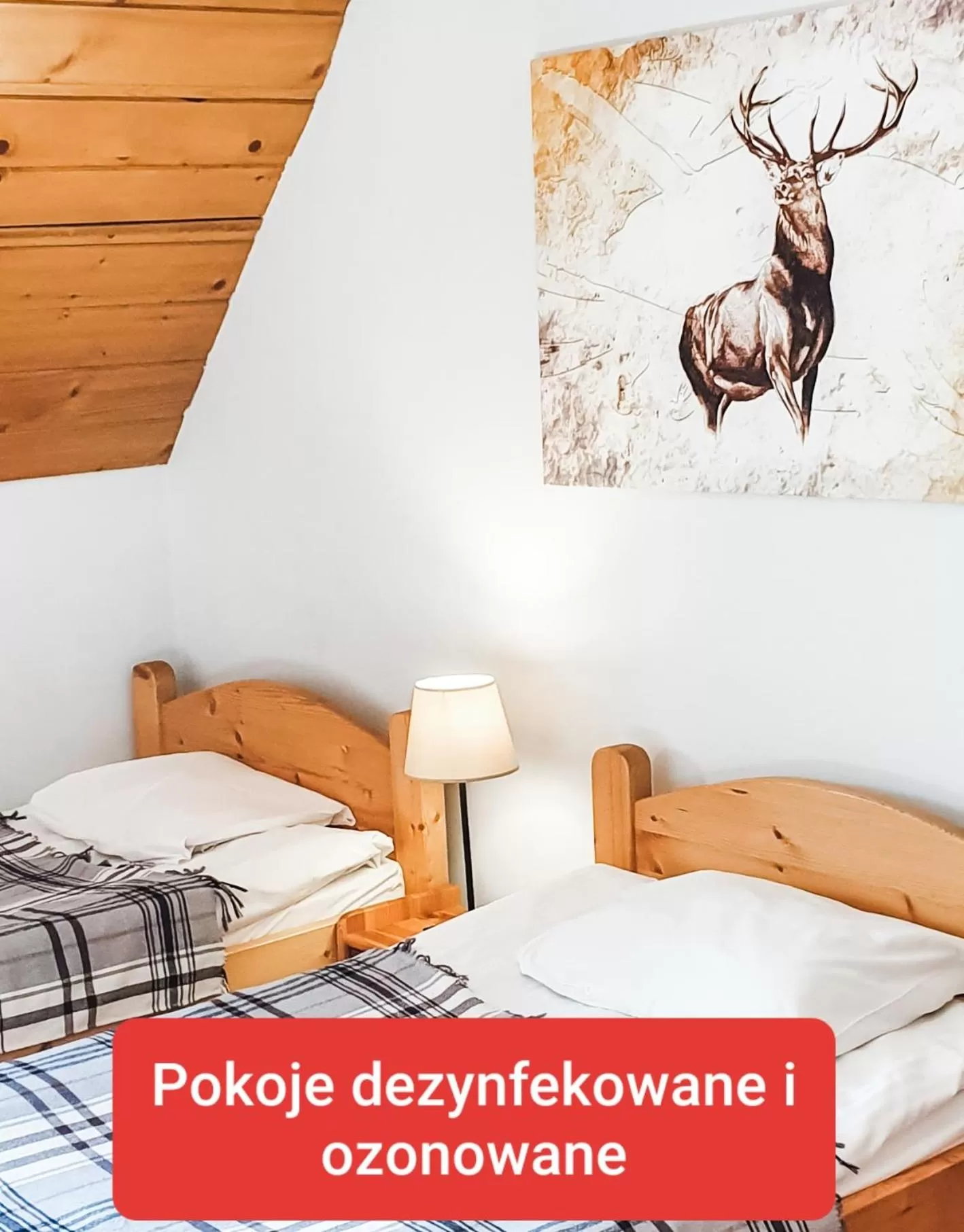 Bed in Zakopane Stop