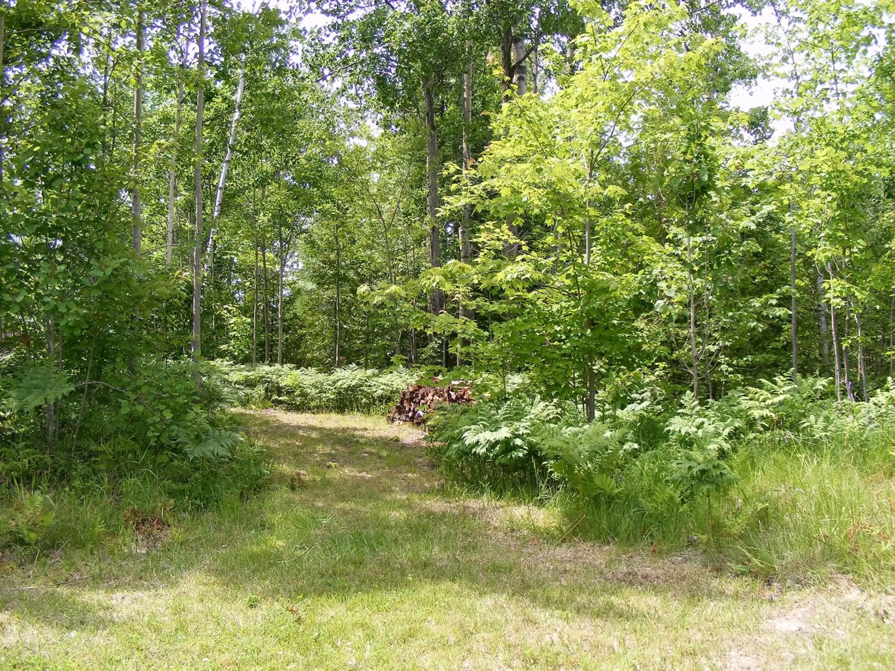 Natural landscape in Gite L'Antre d'Eux