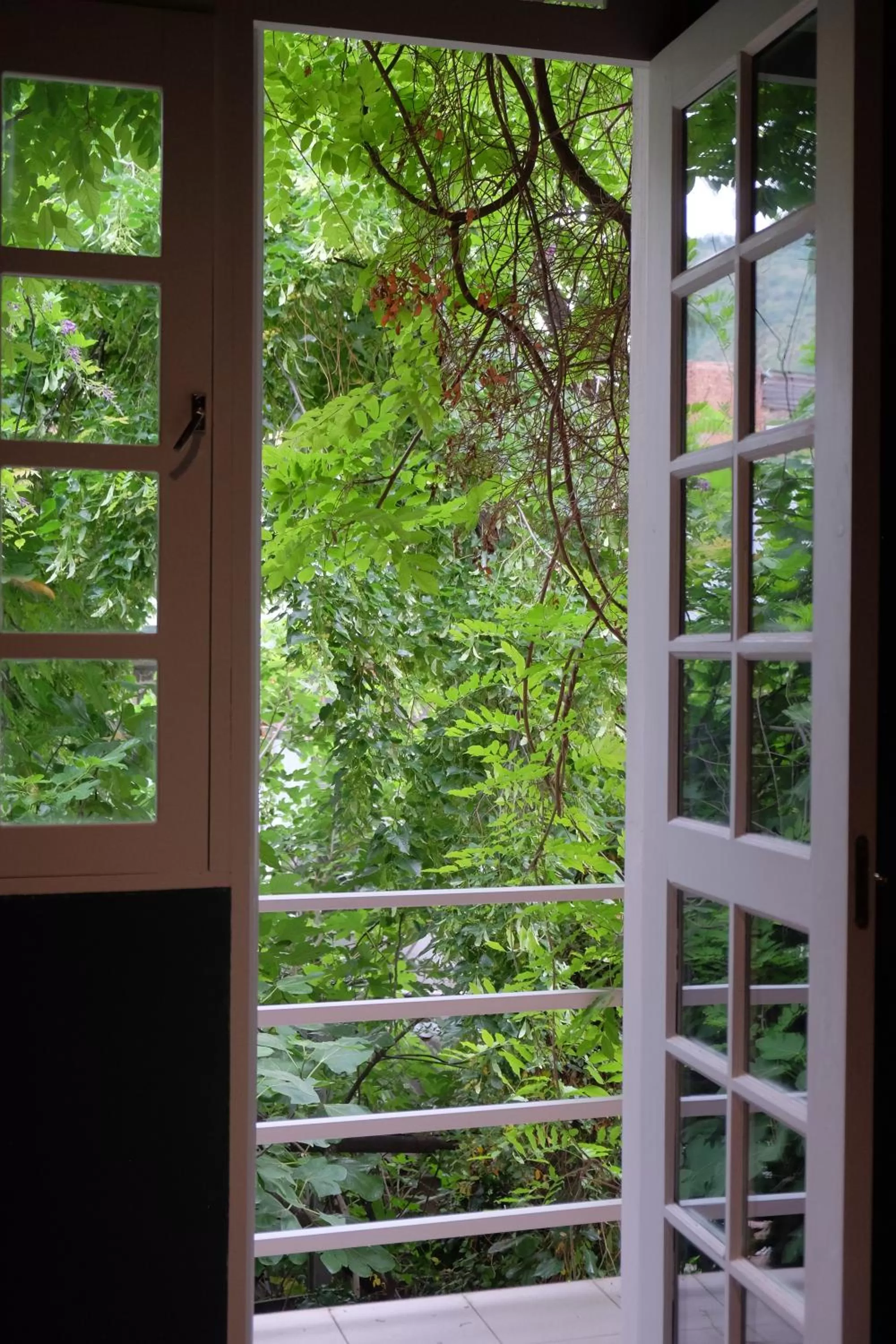 Balcony/Terrace in Blueberry Nights