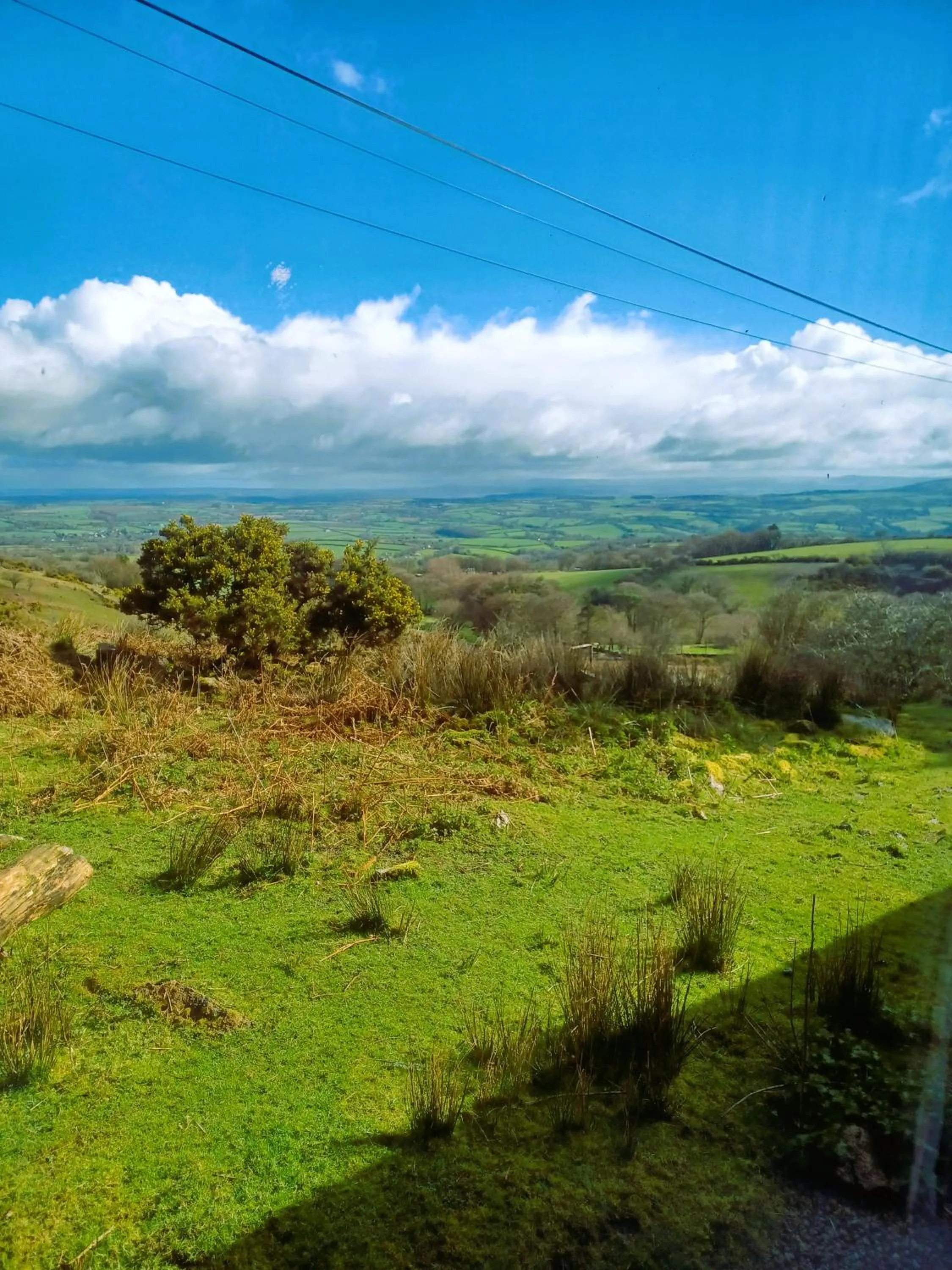 Natural landscape in Wheal Tor Hotel & Glamping