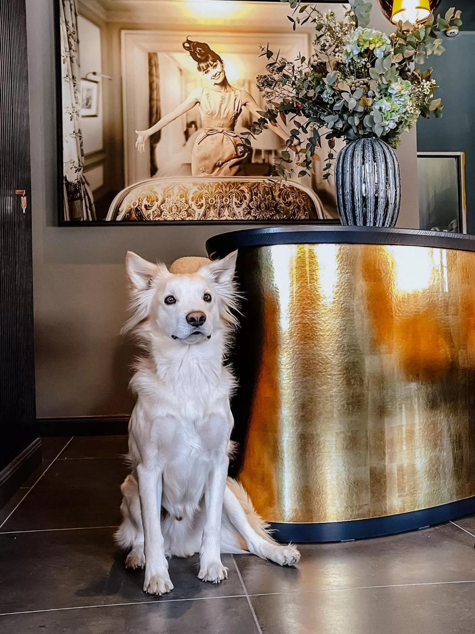 Lobby or reception, Pets in Hotel Atlantic
