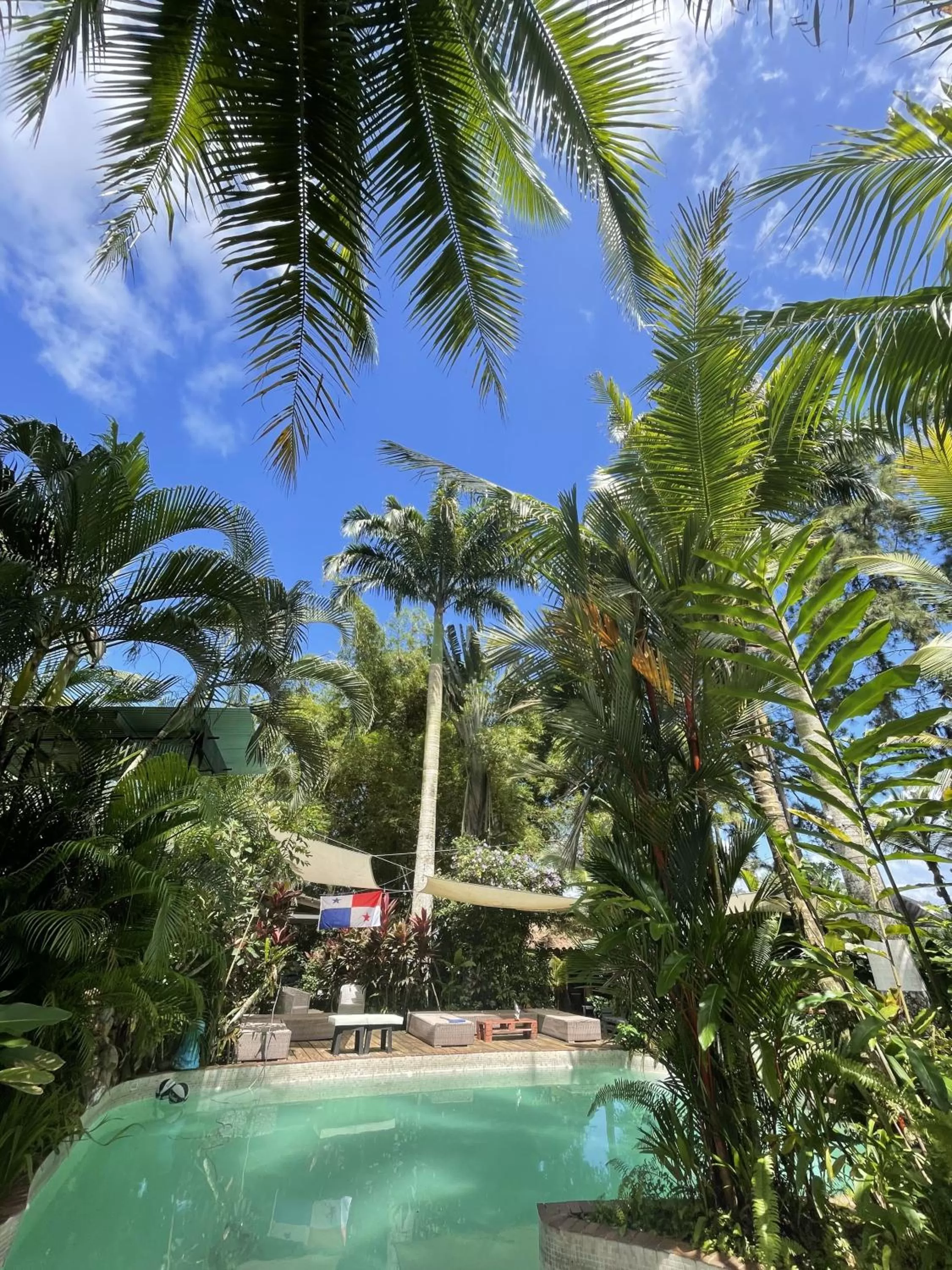 Natural landscape in Monkey Lodge Panama