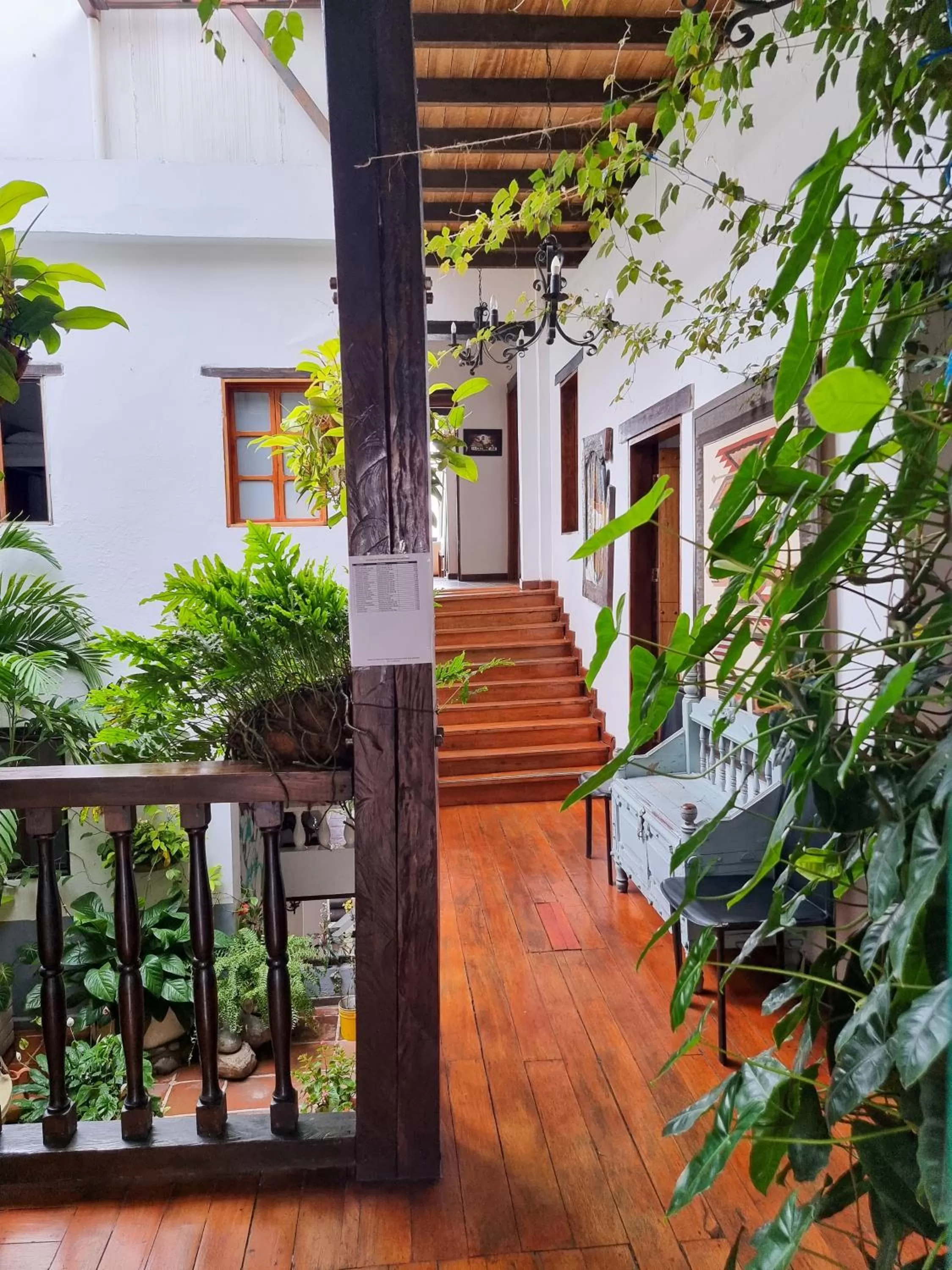 Garden in Hotel Terraza San Antonio