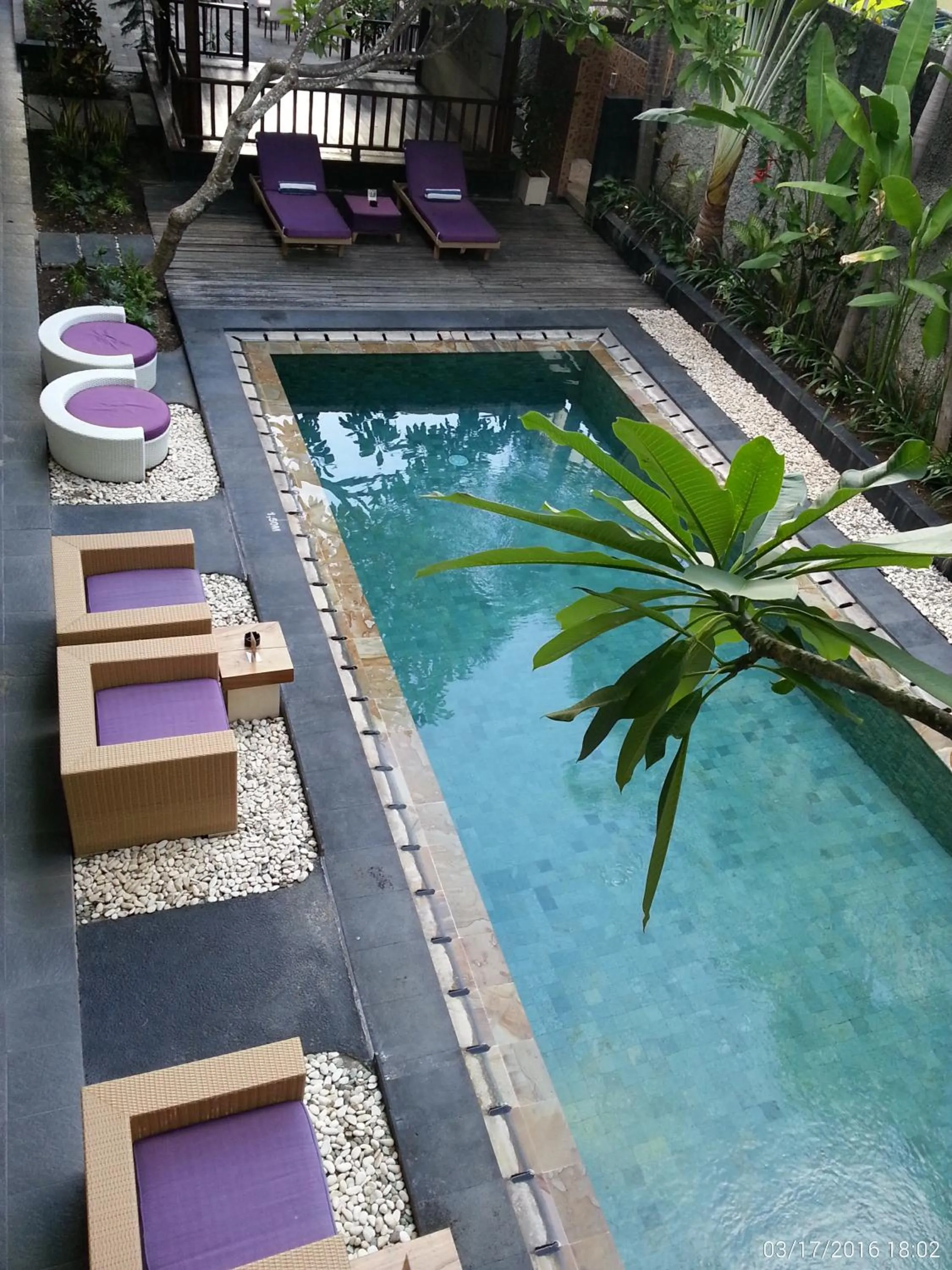 Swimming pool in Serela Kuta
