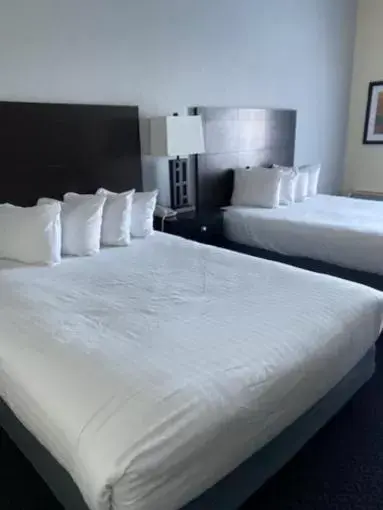 Queen Room - Disability Access in Lakeside Resort & Conference Center Queen Room - Disability Access in Lakeside Resort & Conference Center