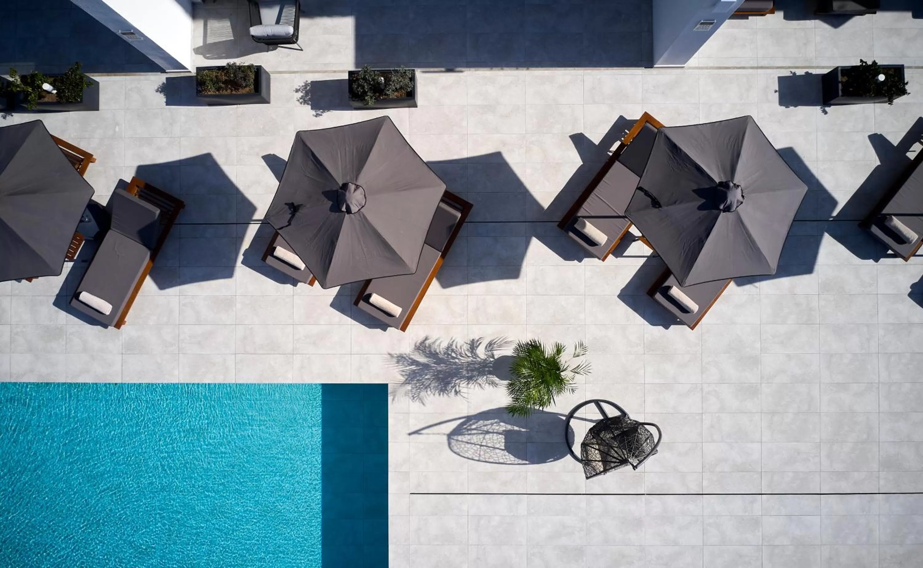 Day in Downtown Park