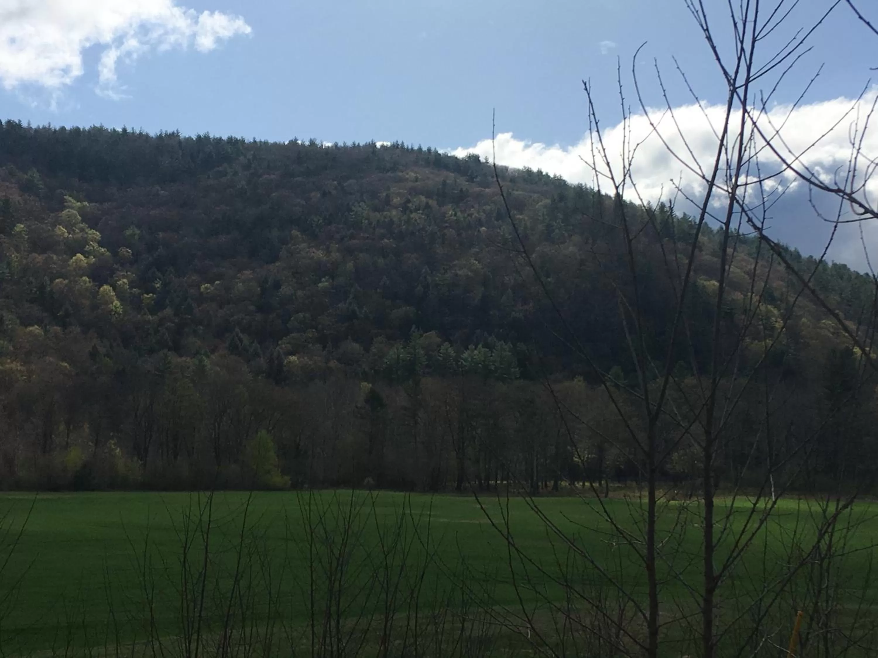 Natural landscape in The Lodge at West River