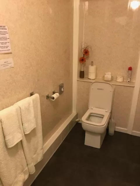 Bathroom in Bron Menai Guest House