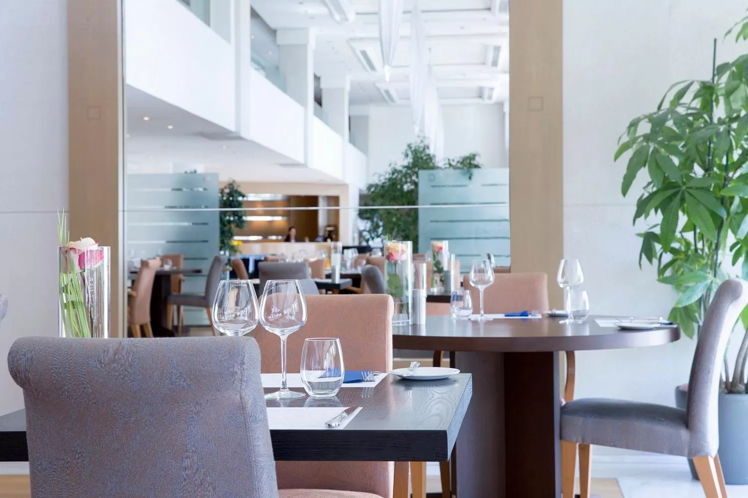 Restaurant/places to eat in Golden Age Athens Hotel