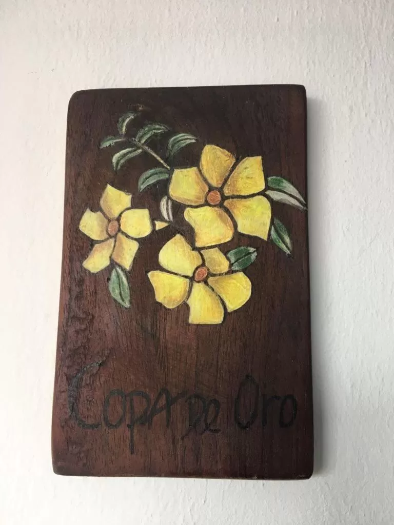 Casa Hotel El Compadre