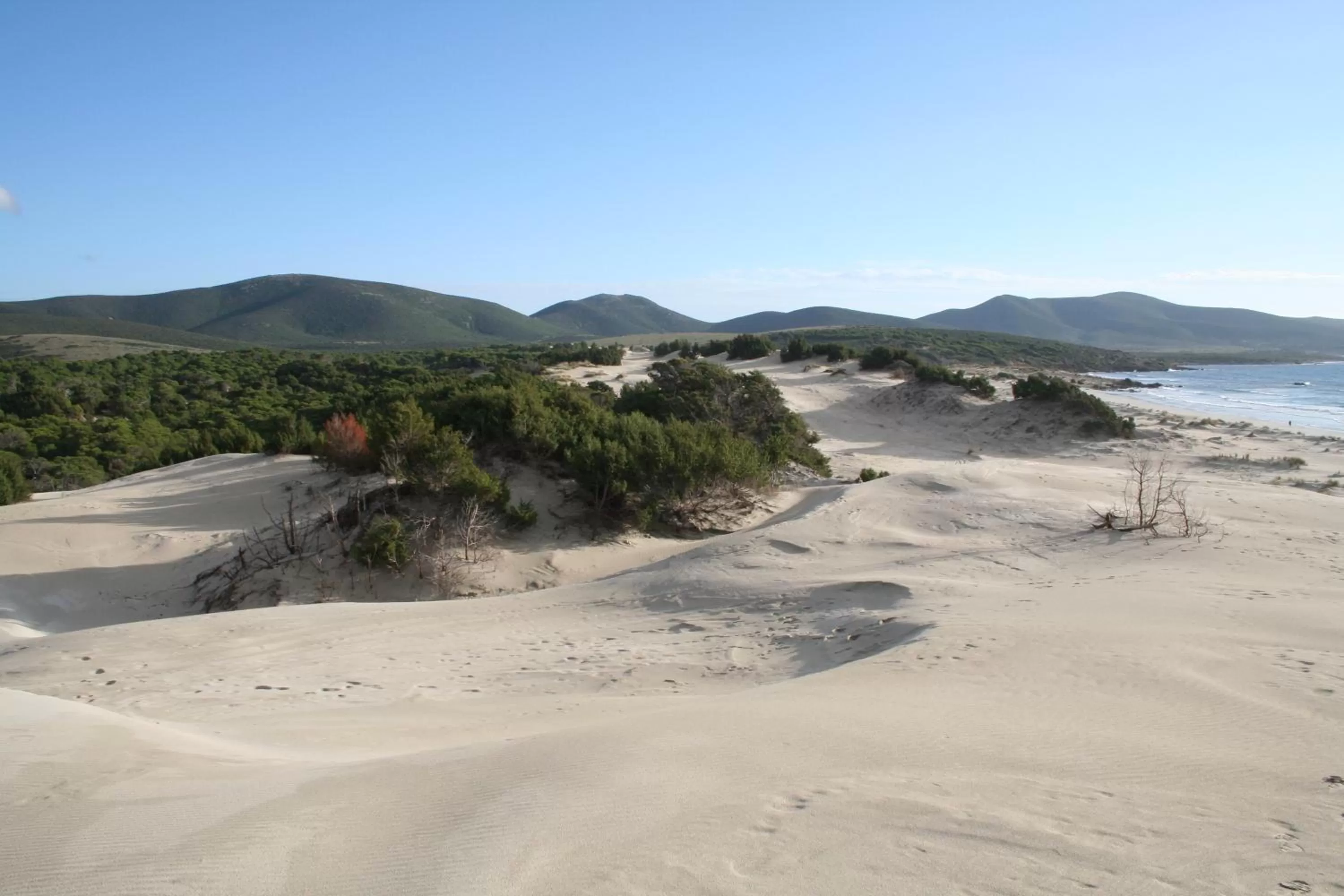 Day in Hotel Jasmine