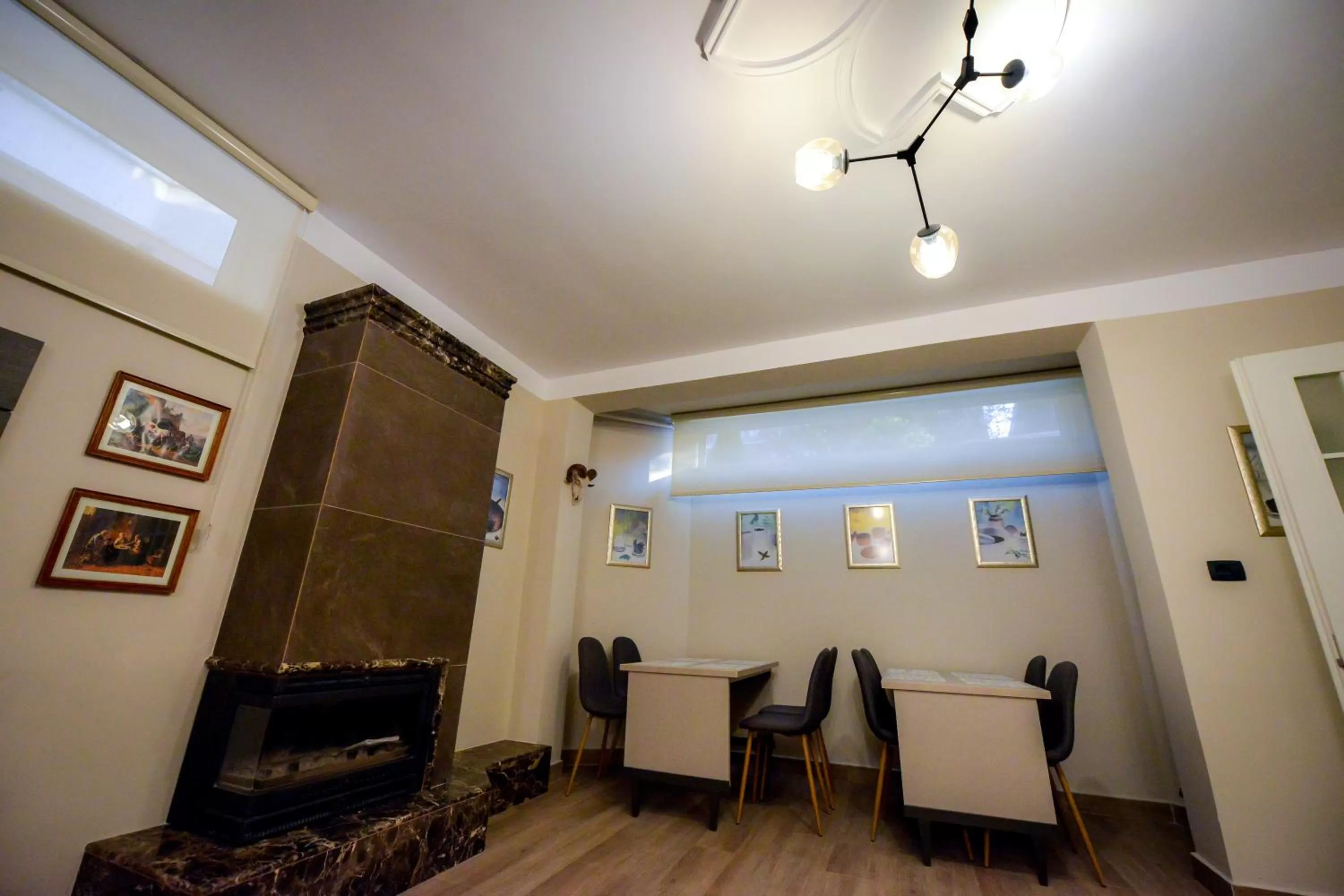 Seating Area in Hotel Vila Tirana