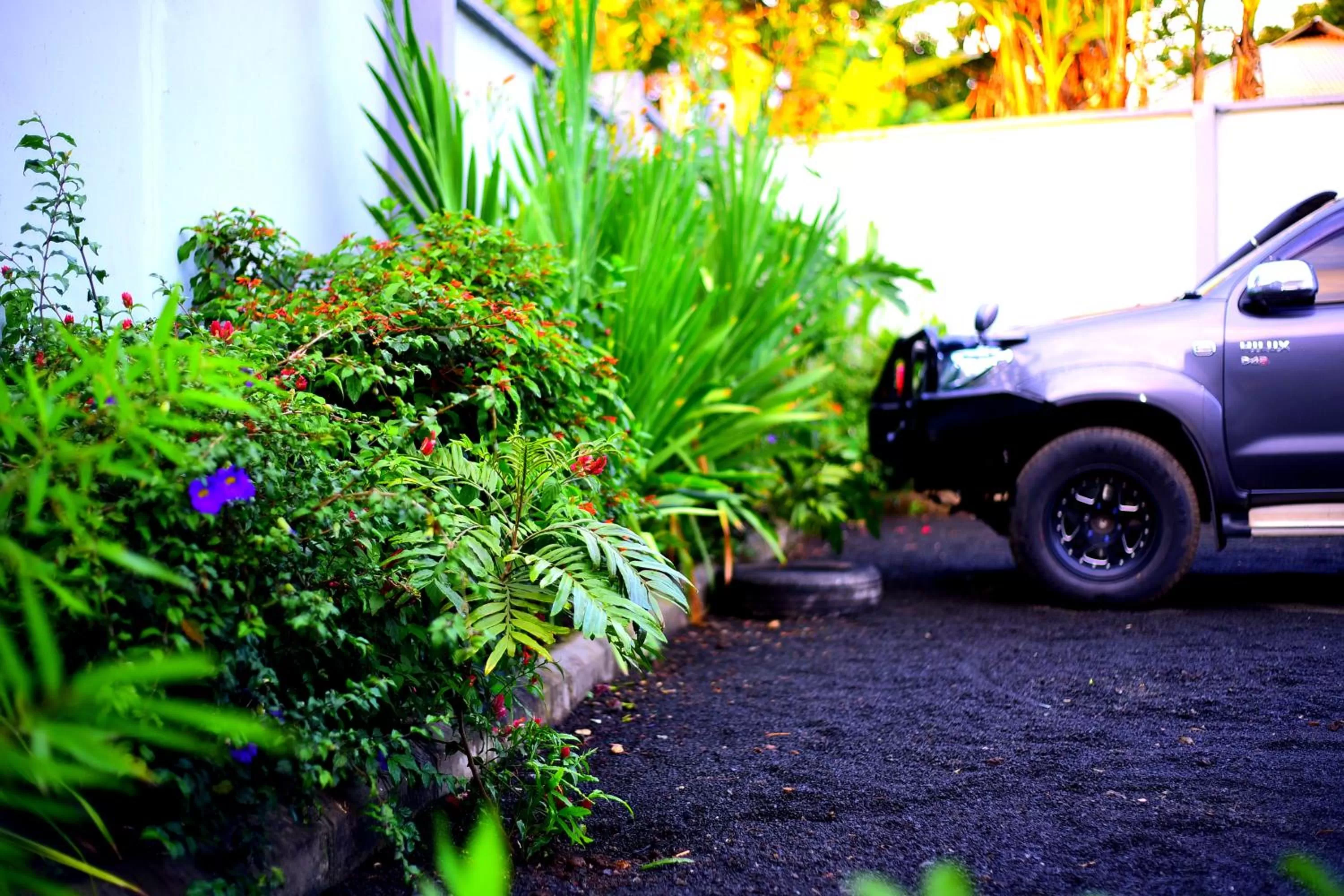 Spring in Safari Park House