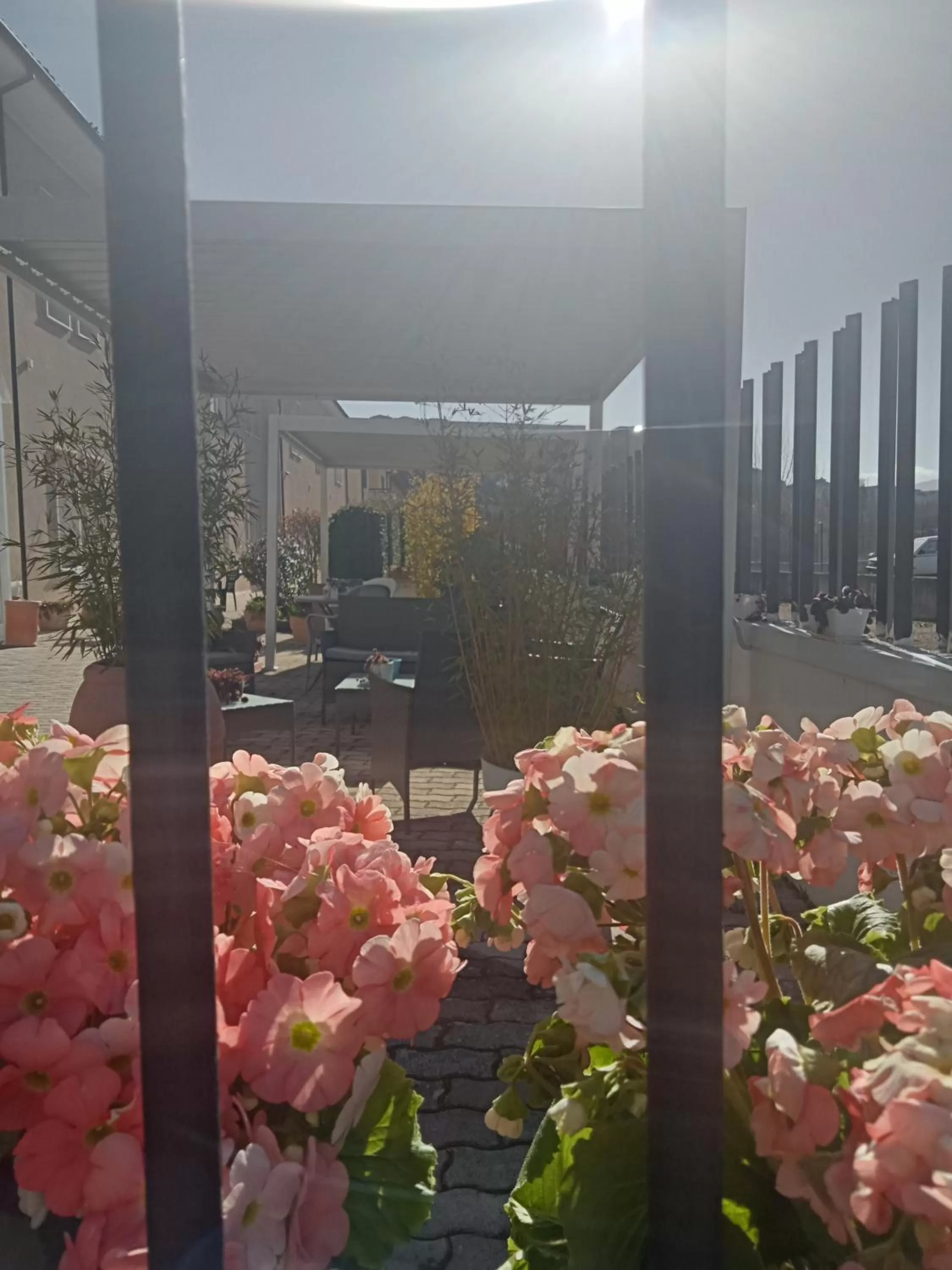 Patio in Hotel Porta Rivera