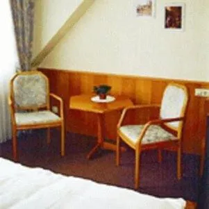 Single Room in Hotel Gülser Weinstube