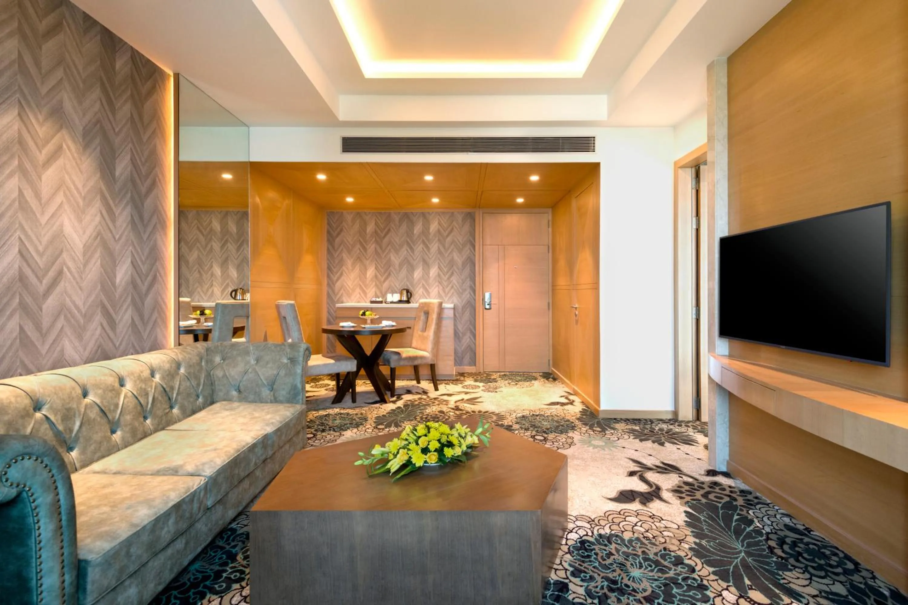 TV and multimedia in Radisson Blu Gorakhpur