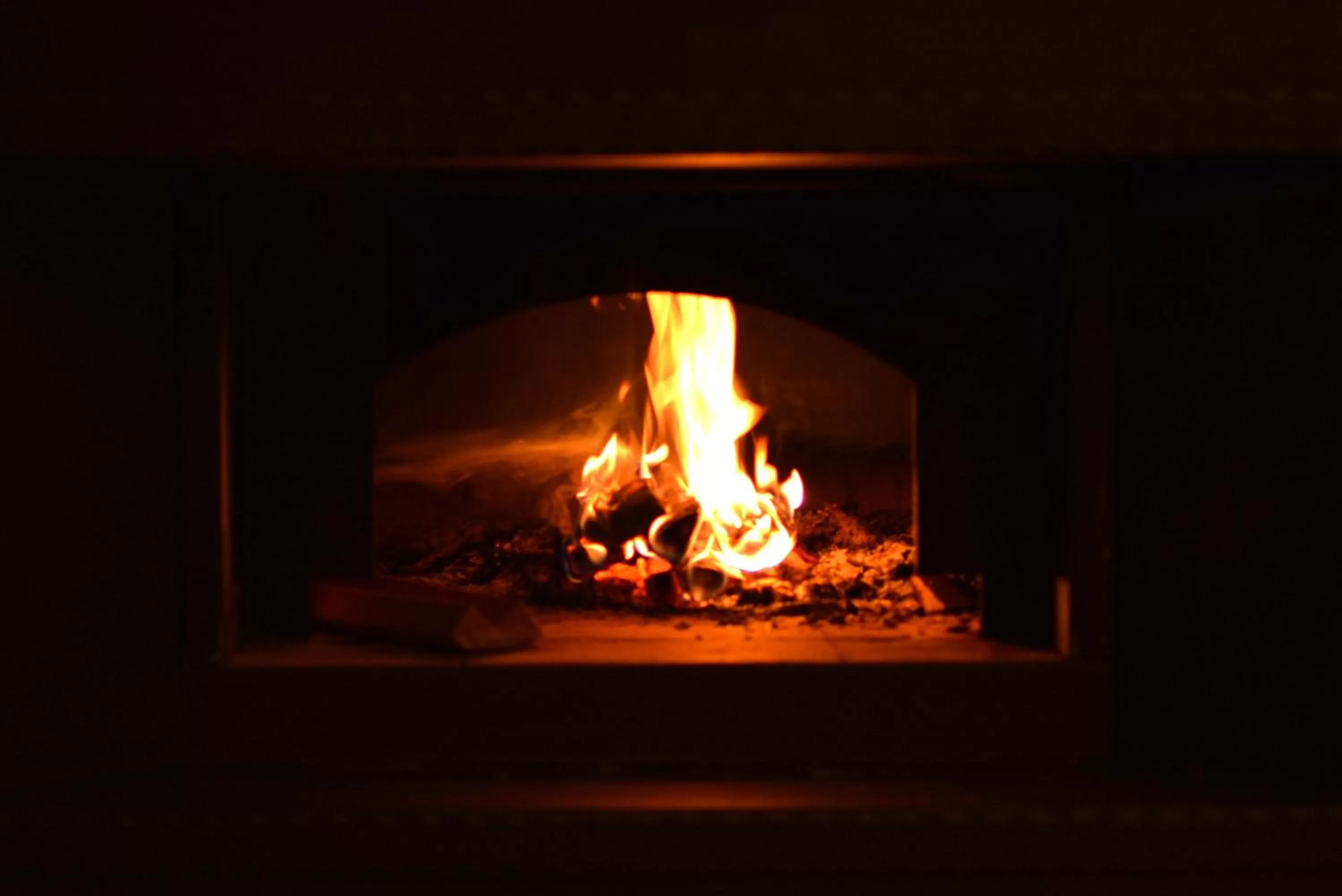 Lounge or bar in Hotel Dolenjc