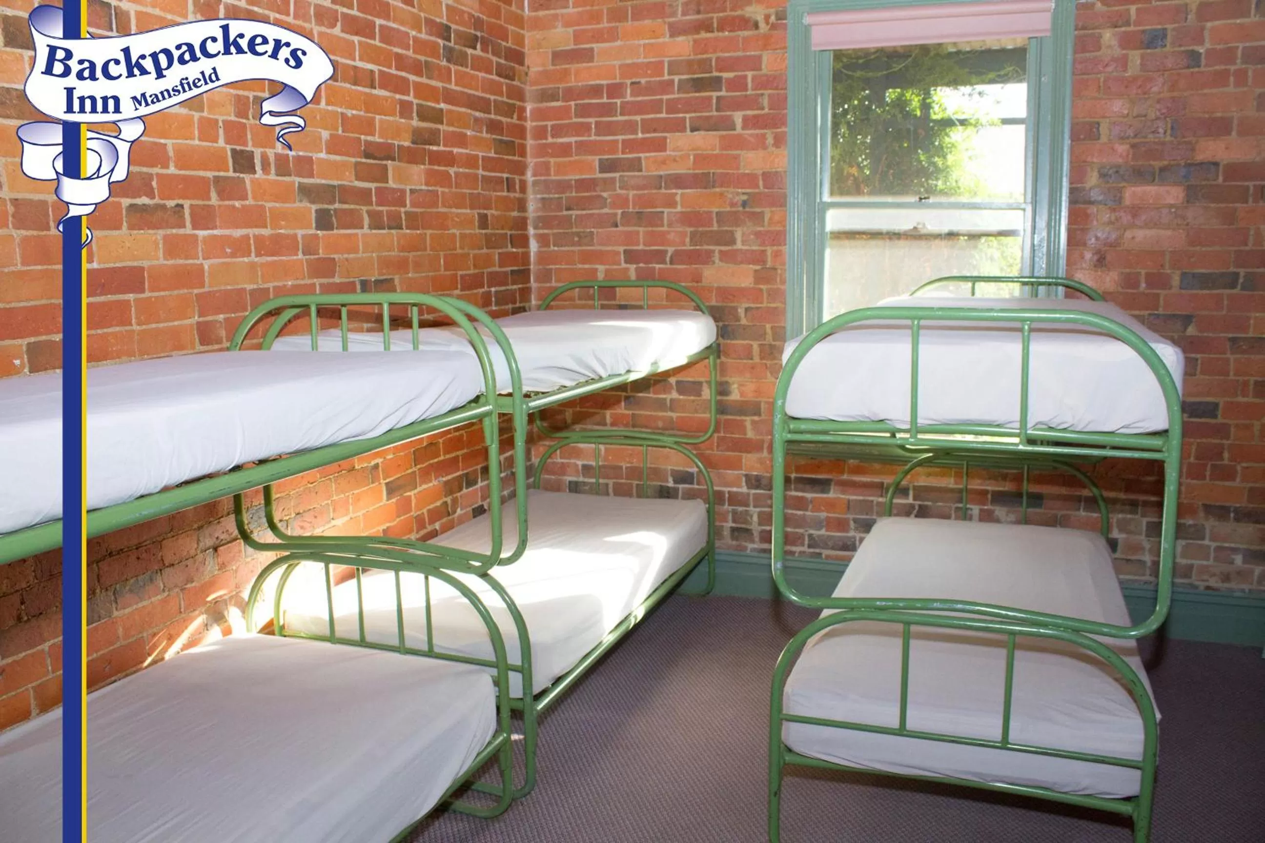 Bunk Bed in Mansfield Travellers Lodge