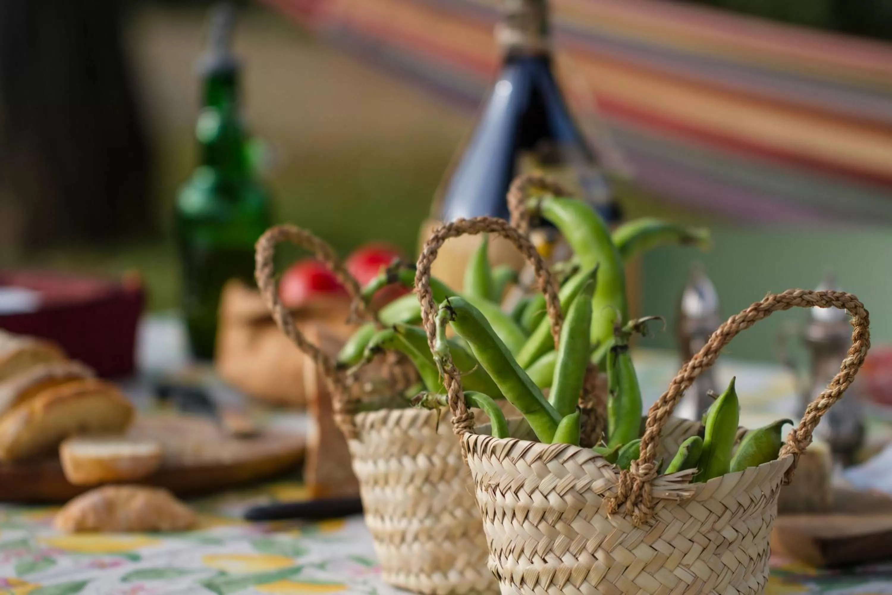 Garden in B&B PALAZZI