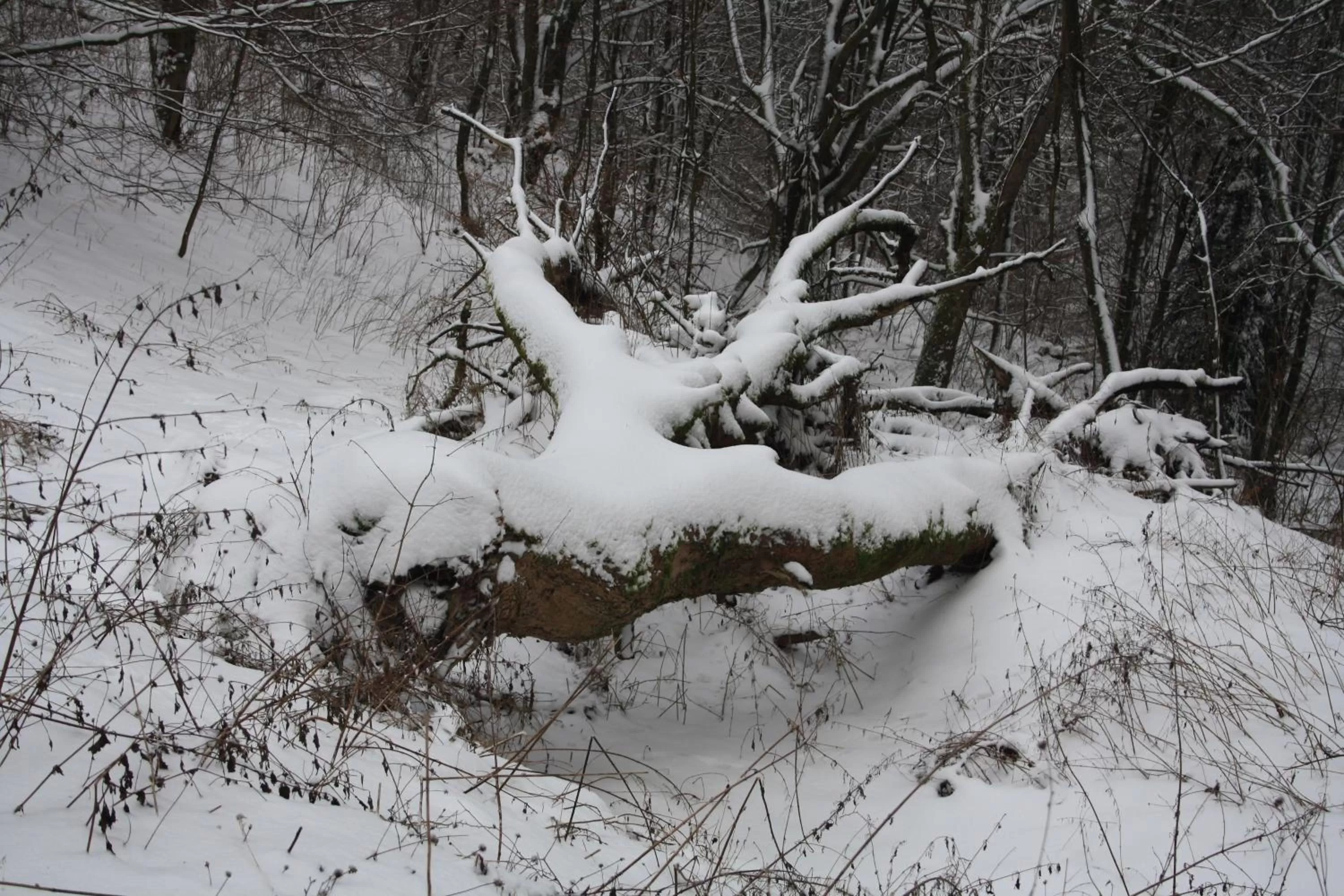 Ferienpark Winterberg