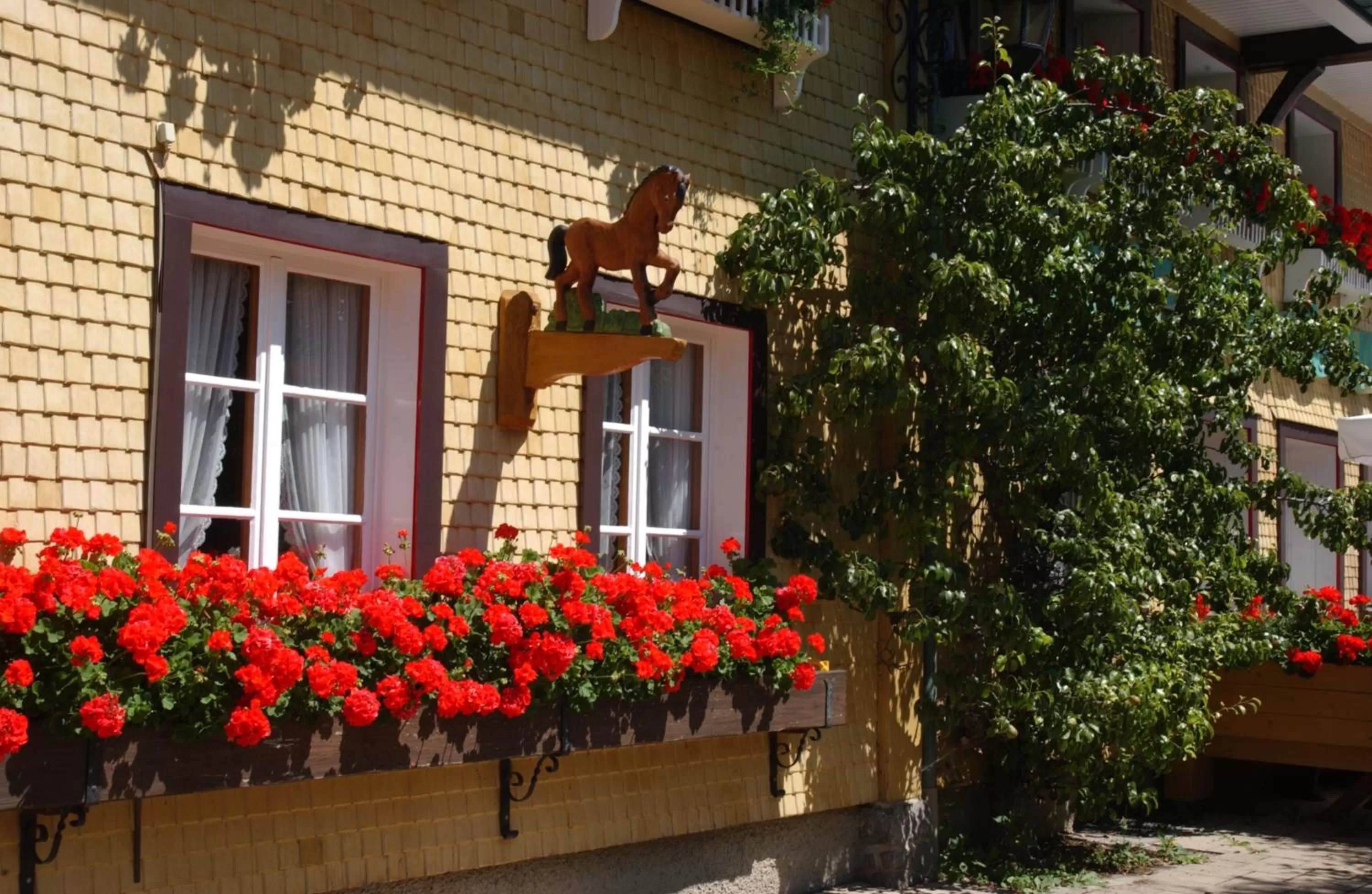 Spring, Property Building in Hotel Schwarzwald-Gasthof Rößle