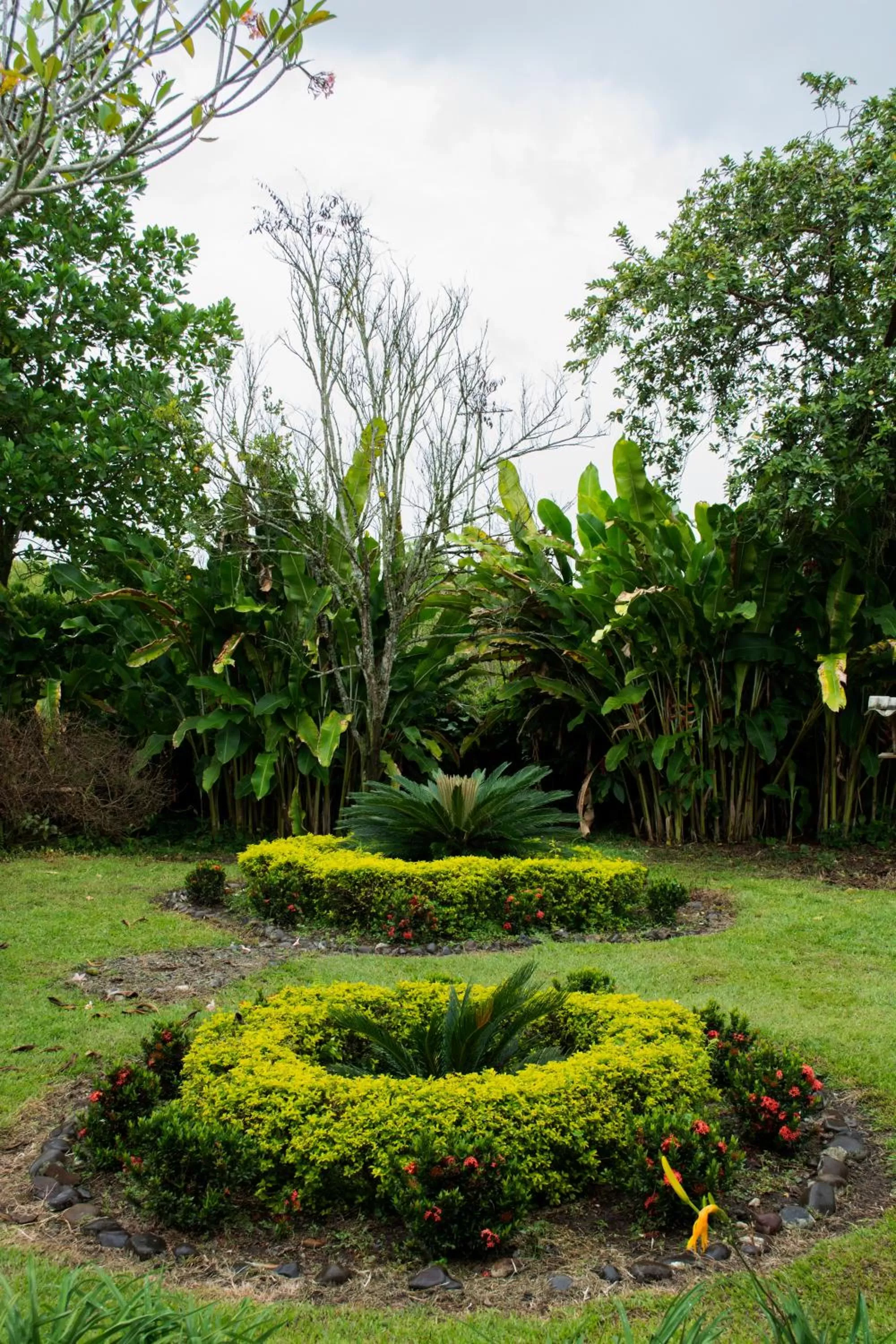 Garden in Balsora Hotel Boutique