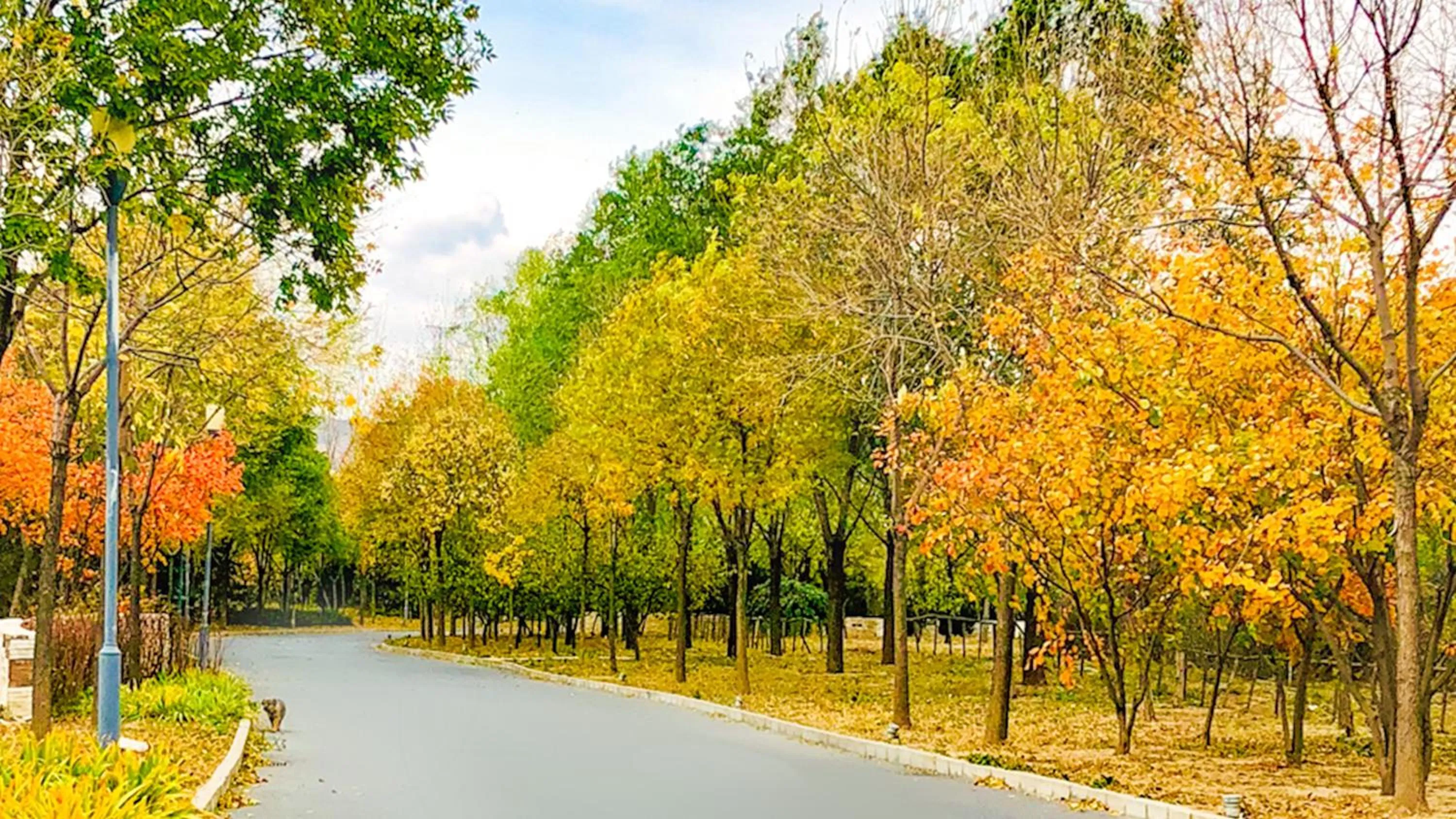 Other in Holiday Inn Beijing Shijingshan Parkview by IHG