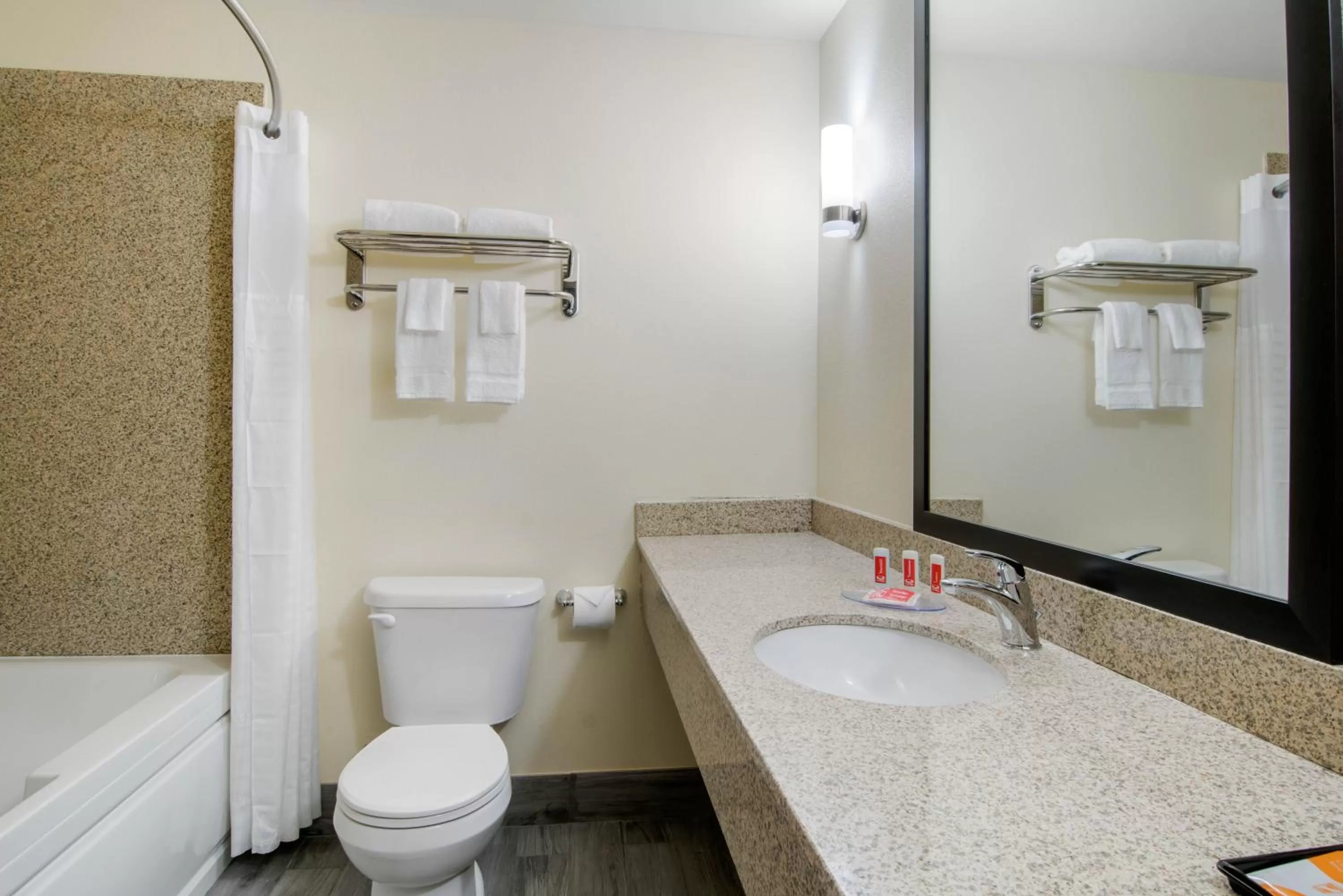 Bathroom in Econo Lodge Inn & Suites Springfield Main Street