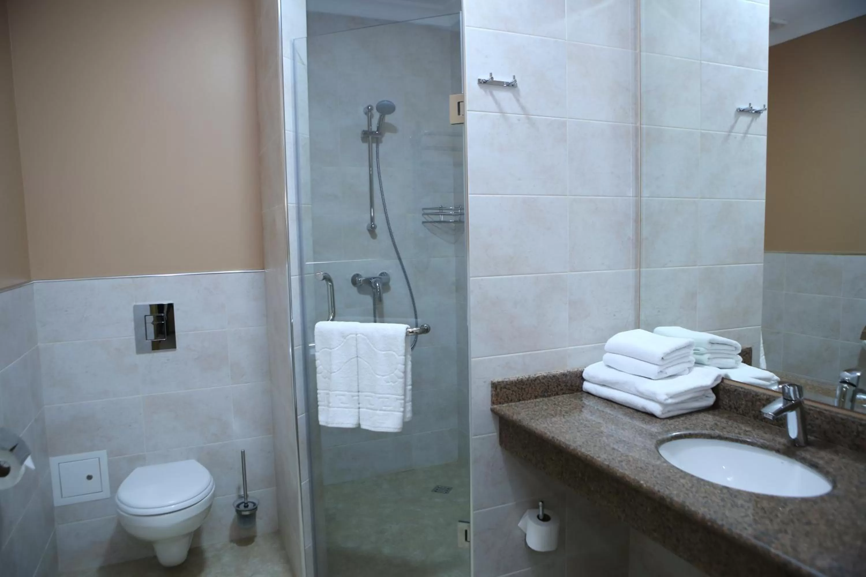 Shower, Bathroom in Hotel Aner