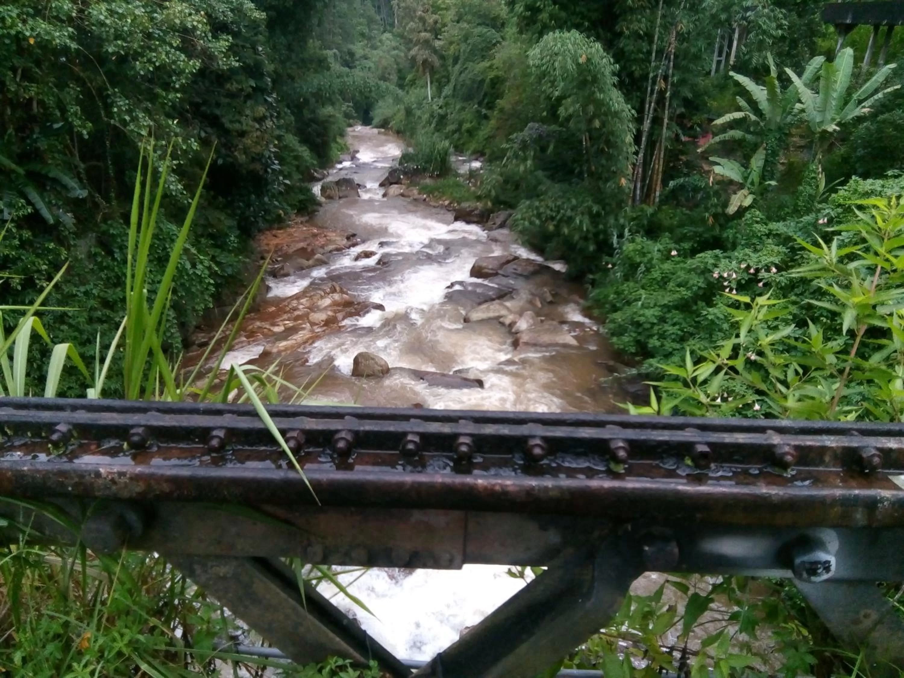 Other Animals in Rock View Rest Hatton