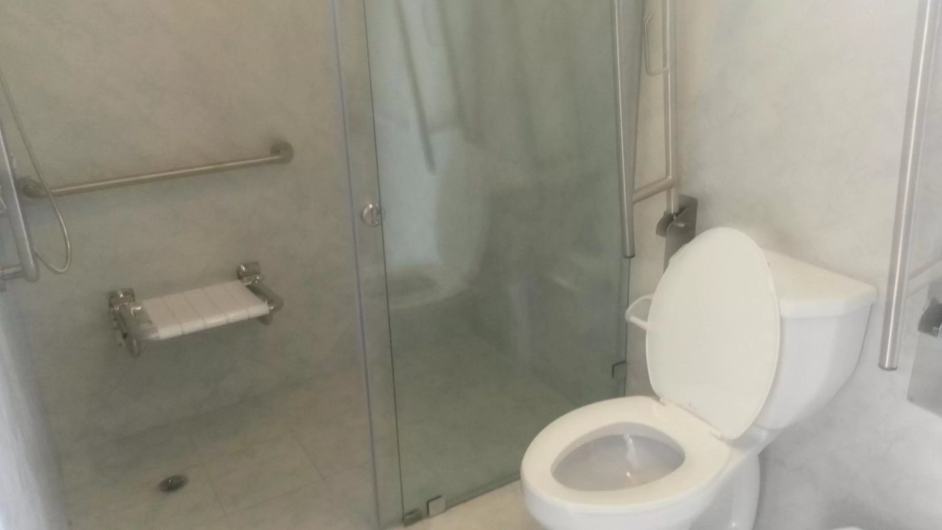 Facility for disabled guests, Bathroom in Hotel Ajavi