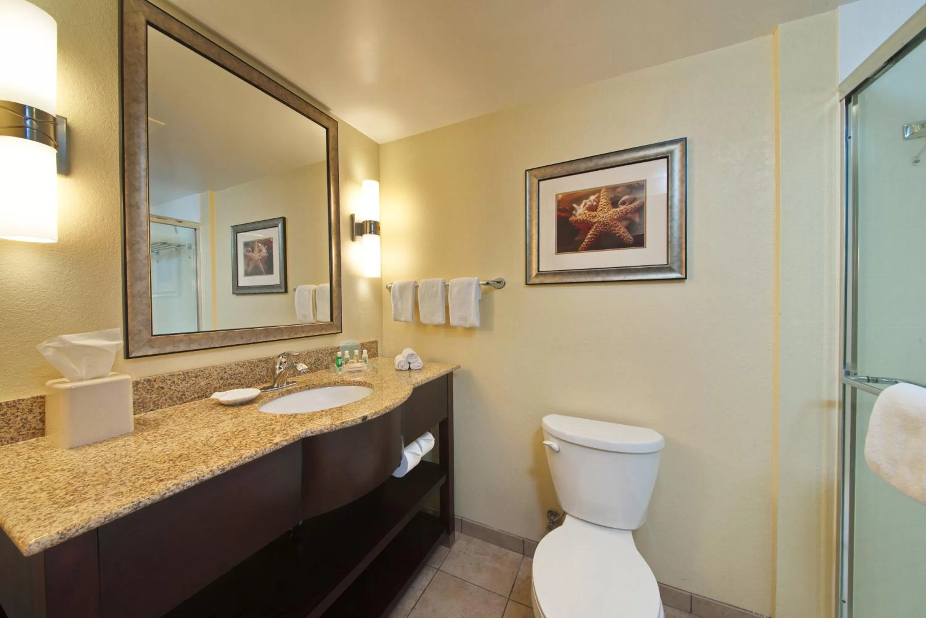 Bathroom in Holiday Inn Titusville/Kennedy Space Center by IHG