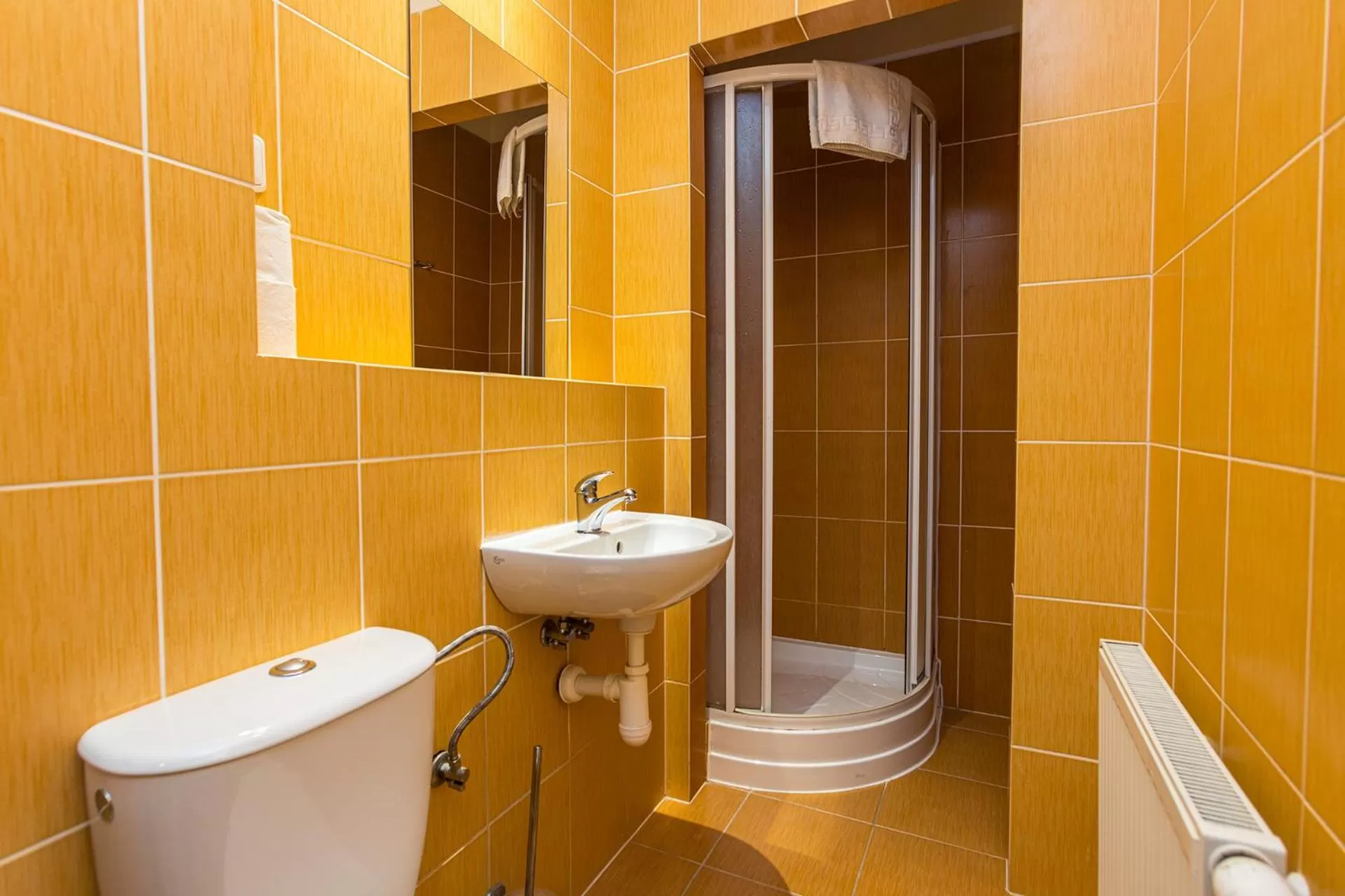 Bathroom in Hotel Seifert