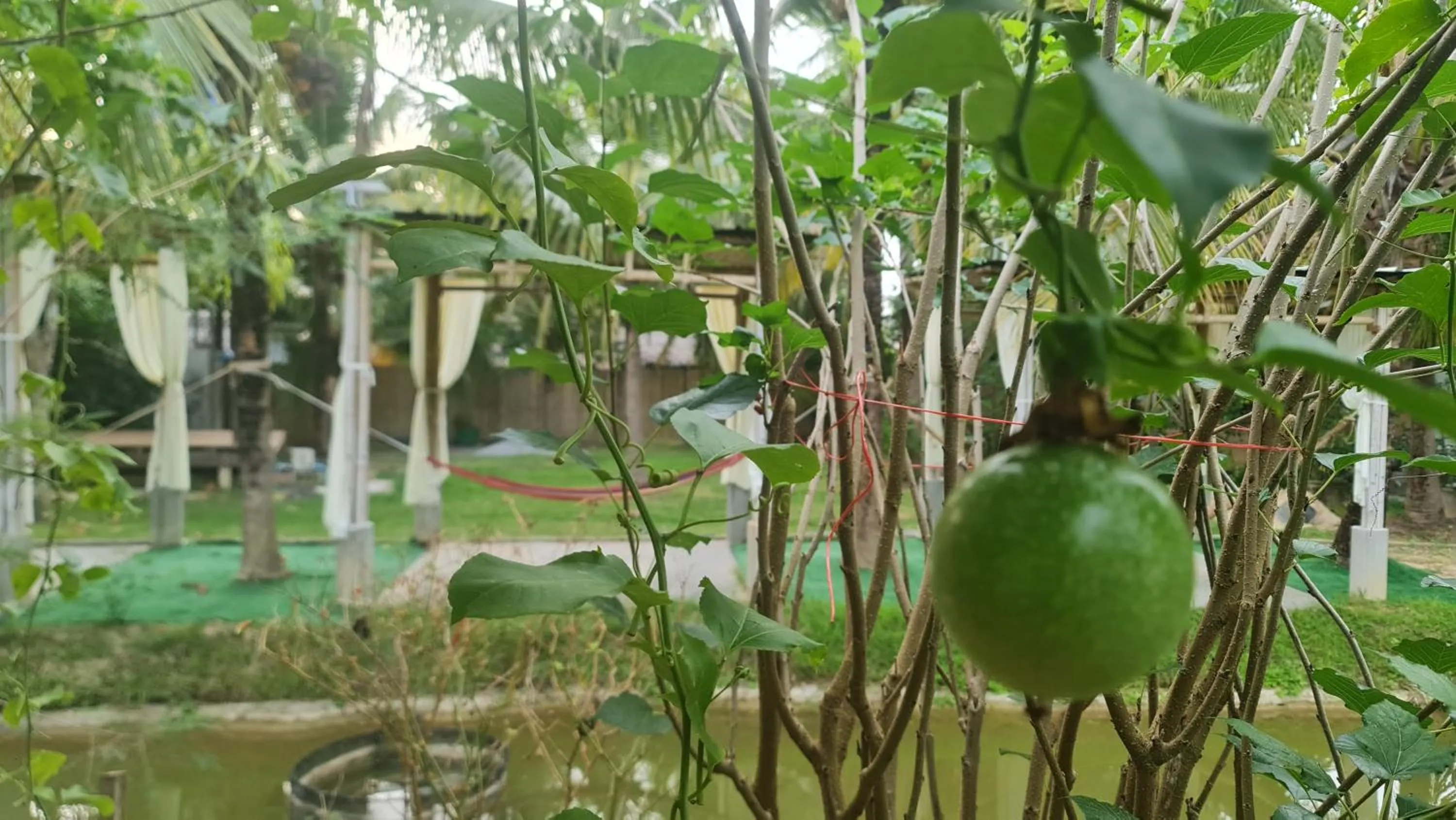 Baan Suan Rim Klong Resort