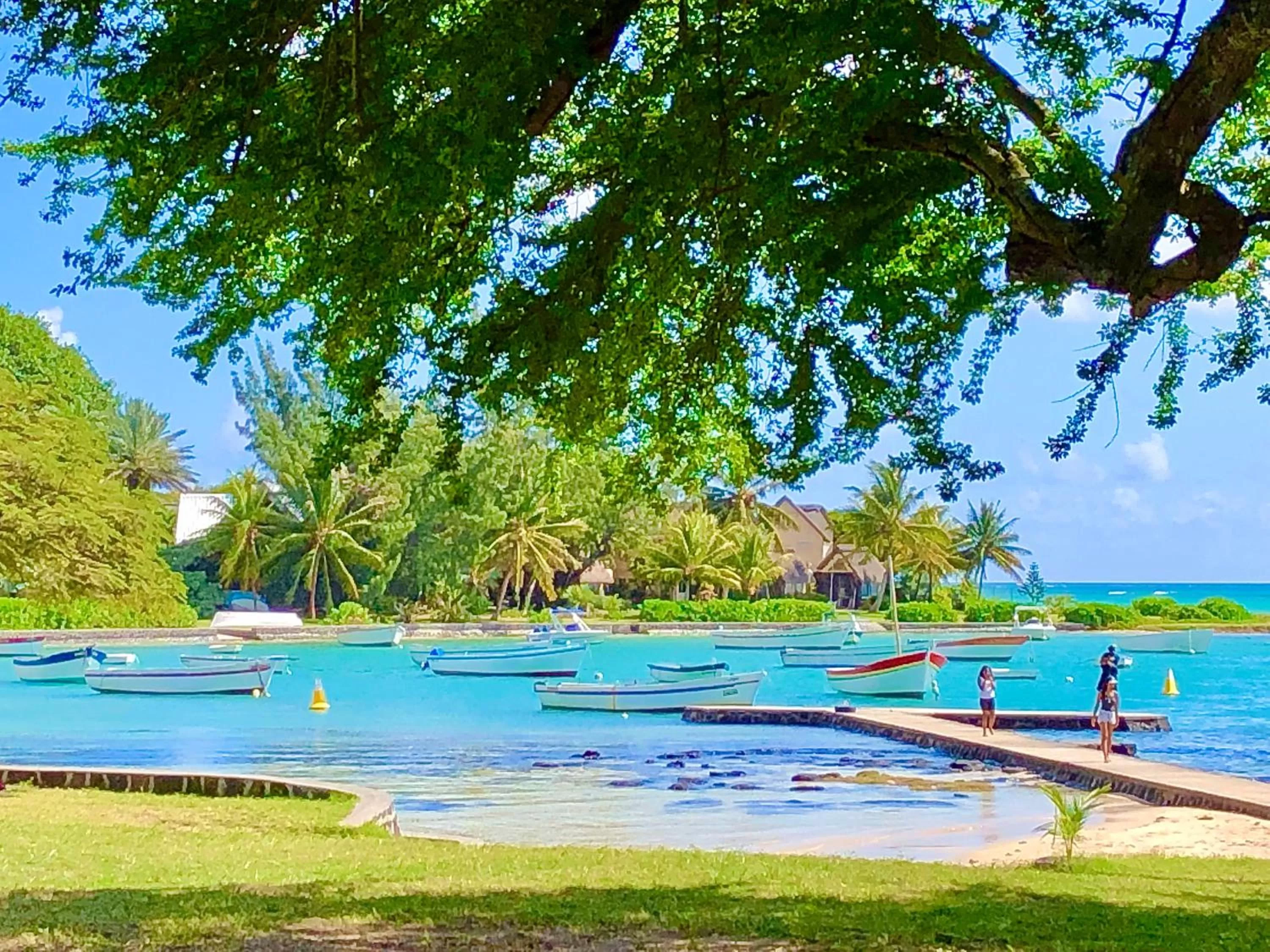 Natural landscape in The Good Life - Eco Lodges & Serenity Boutique Hotel - Adults Only