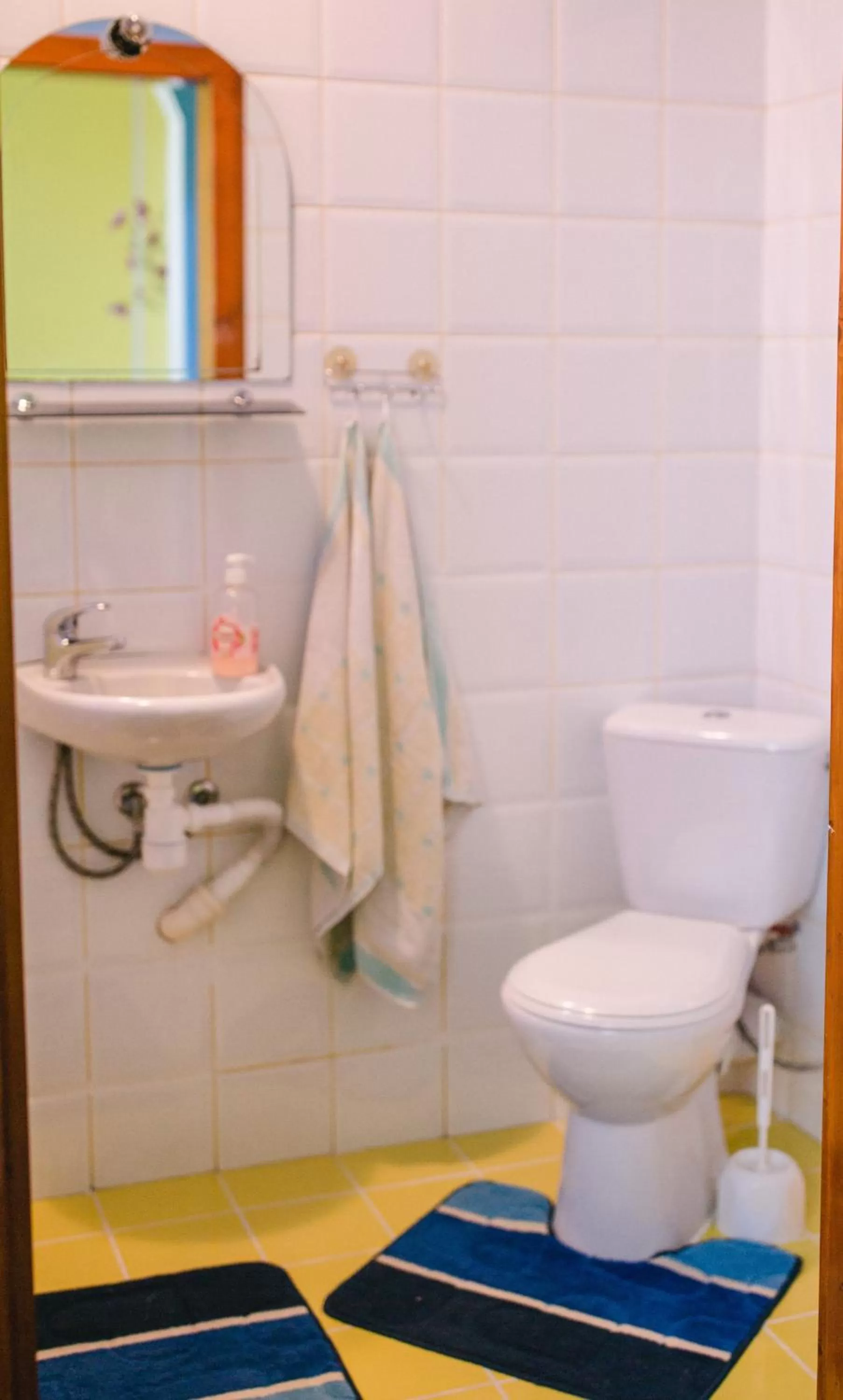 Bathroom in Kolyba Opryshkiv