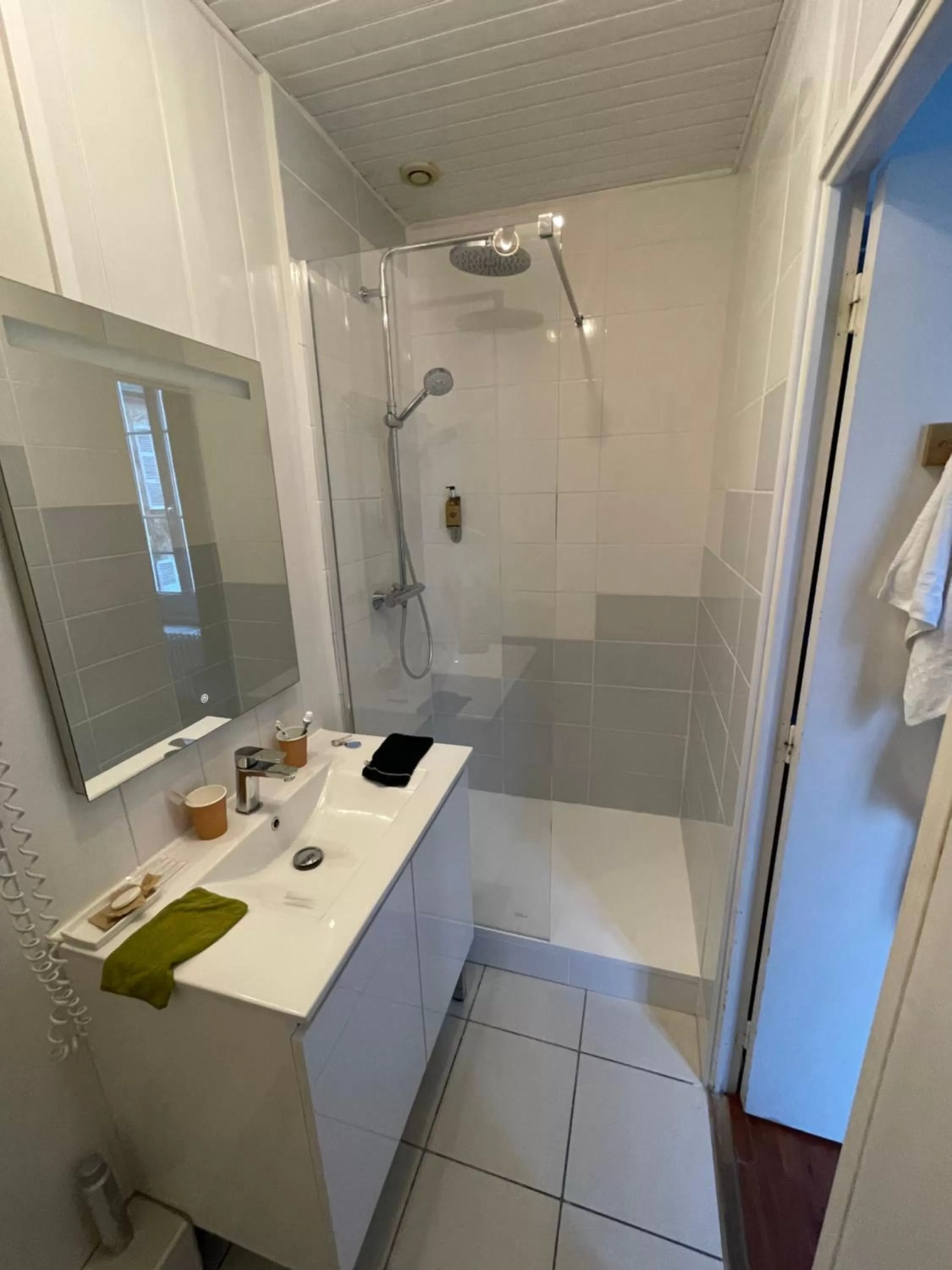 Shower, Bathroom in Hôtel & Restaurant Le Patio VICHY