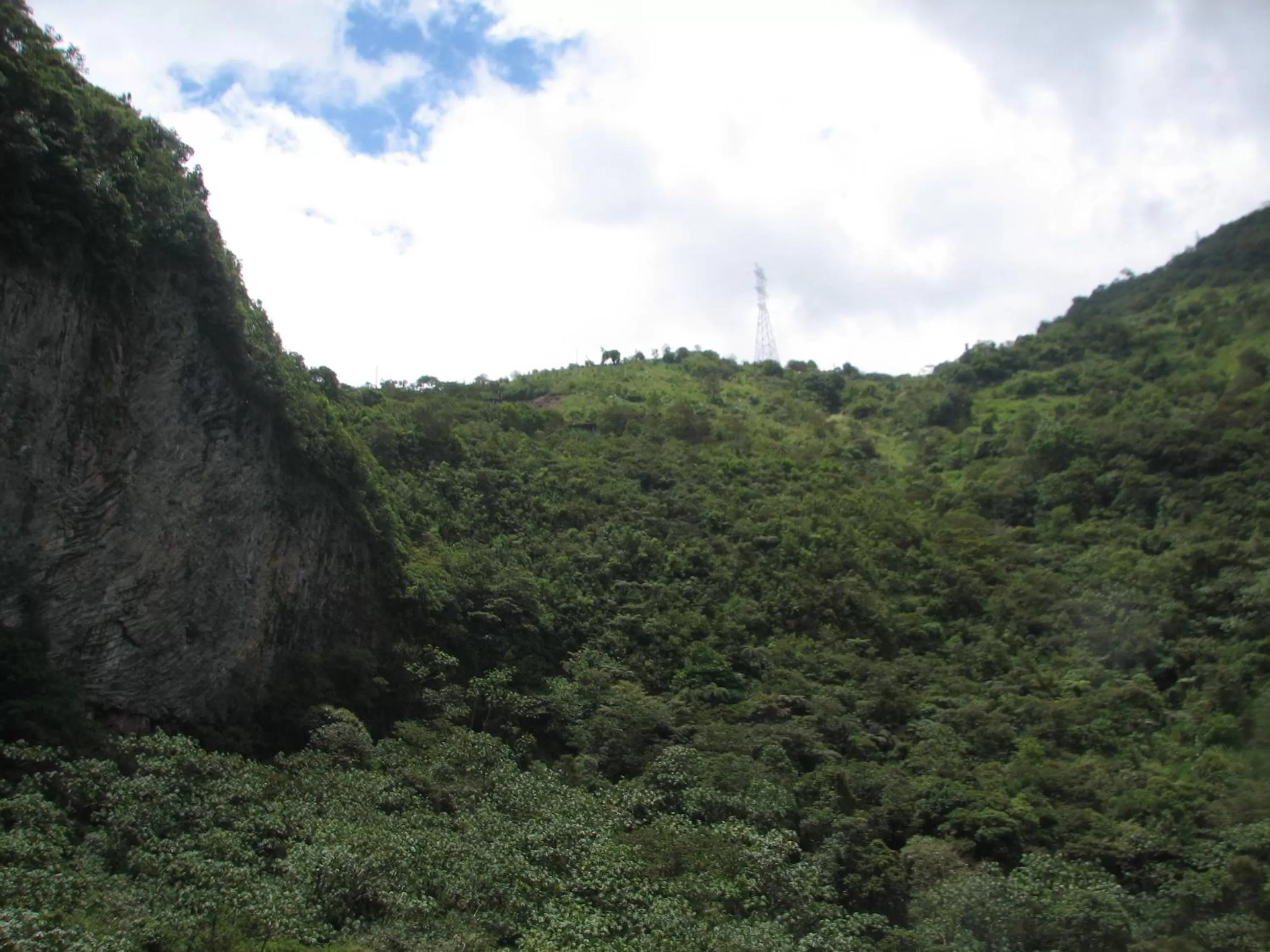 Garden, Natural Landscape in Spa Hosteria Miramelindo